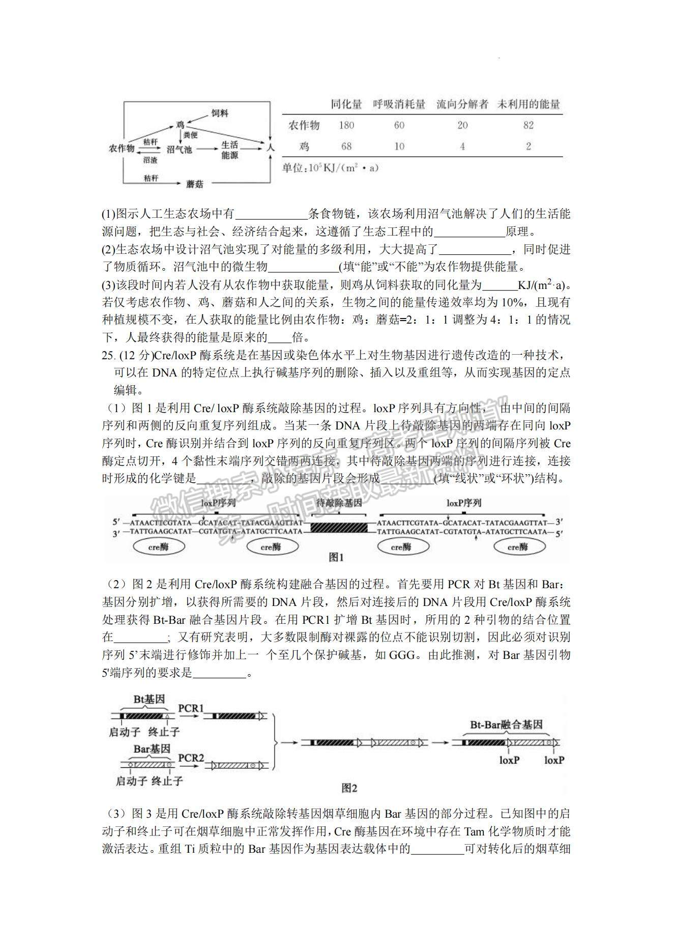 2023山東棗莊高三二模試卷及答案匯總-生物試卷及答案