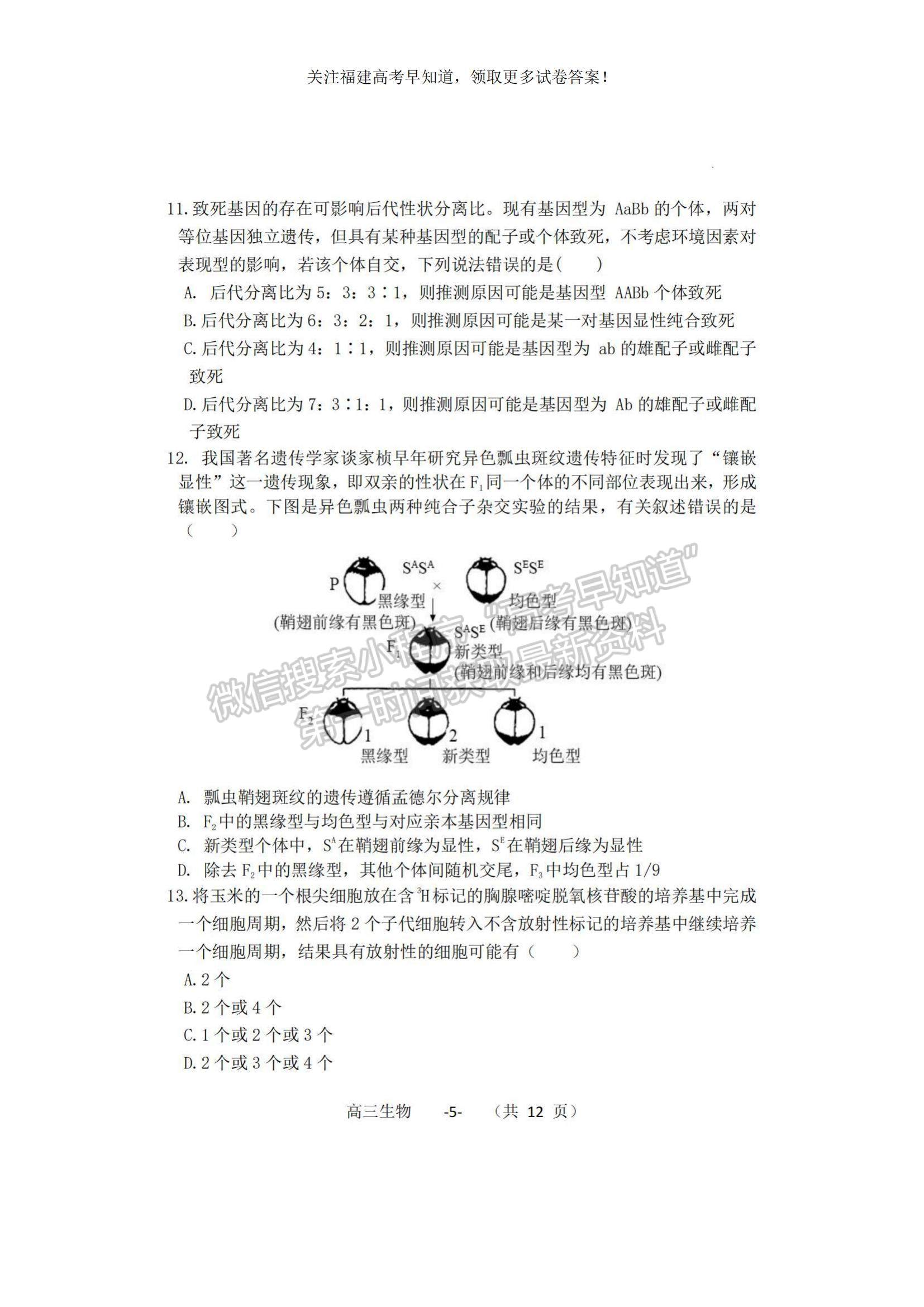 2023福建省福清市一級(jí)達(dá)標(biāo)校高三上學(xué)期期中聯(lián)考生物試題及參考答案