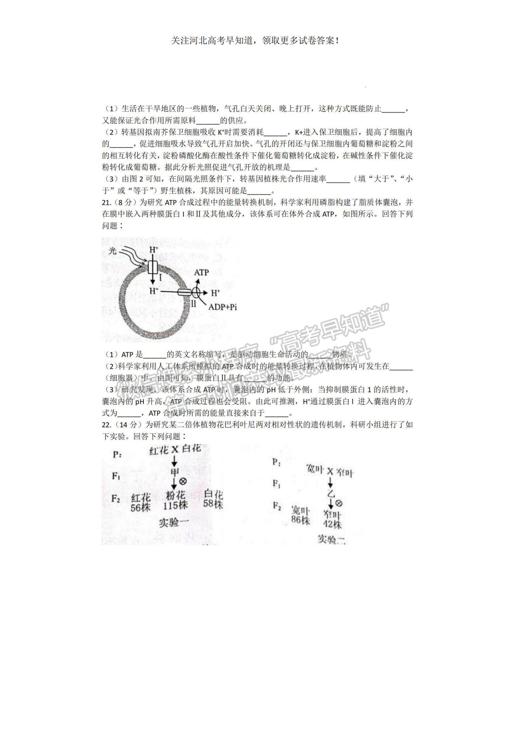 2023河北省保定市高三上學(xué)期摸底考試（期中）生物試題及參考答案