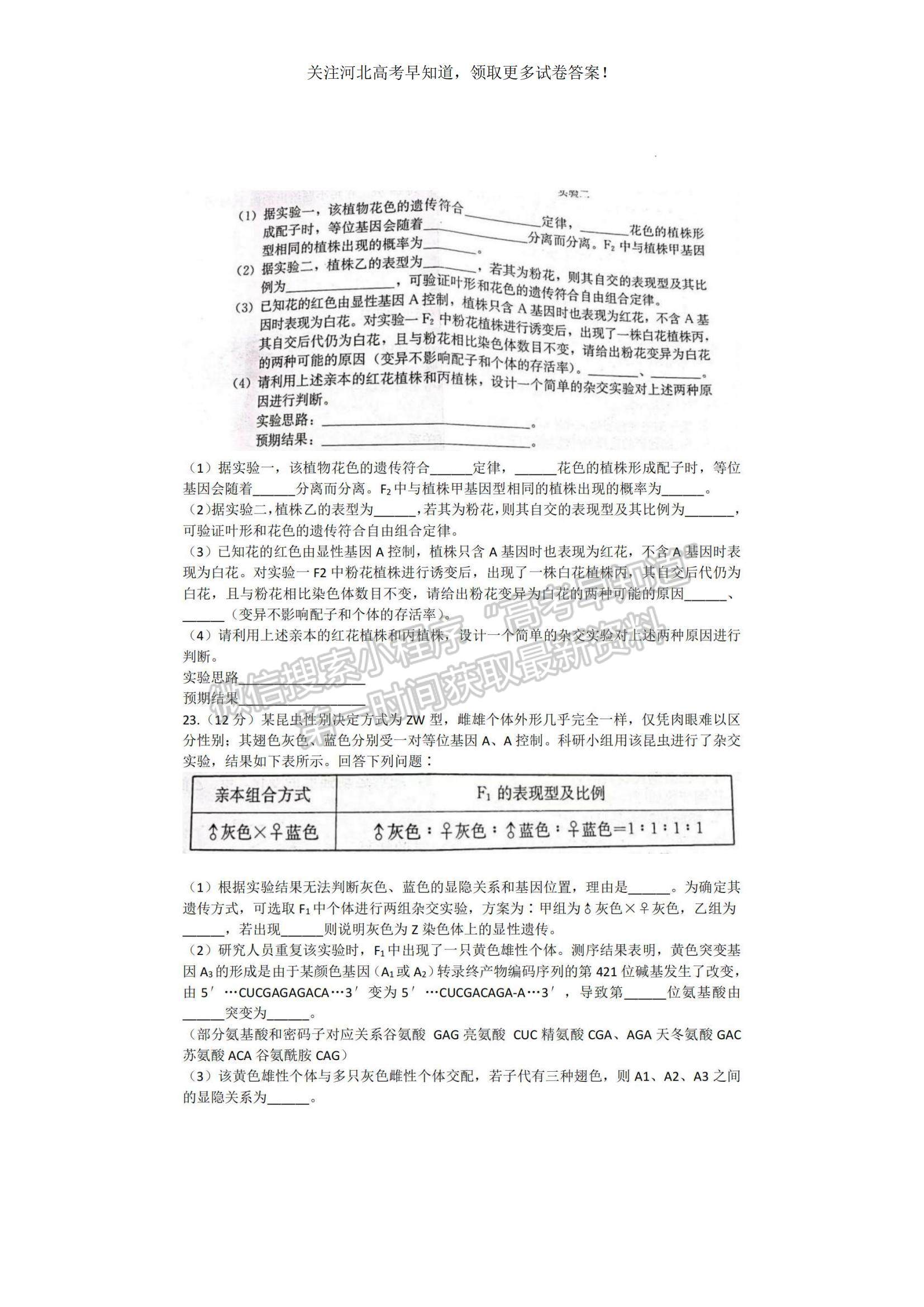 2023河北省保定市高三上學(xué)期摸底考試（期中）生物試題及參考答案