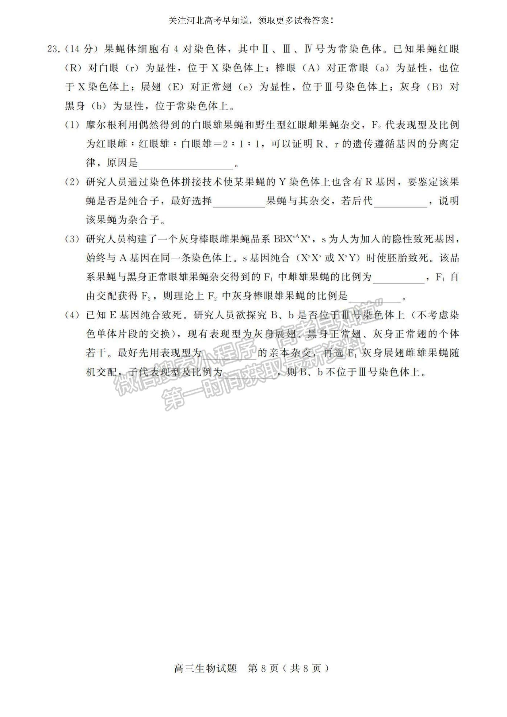 2023河北省邢臺市五校聯(lián)考高三上學(xué)期期中考試生物試題及參考答案