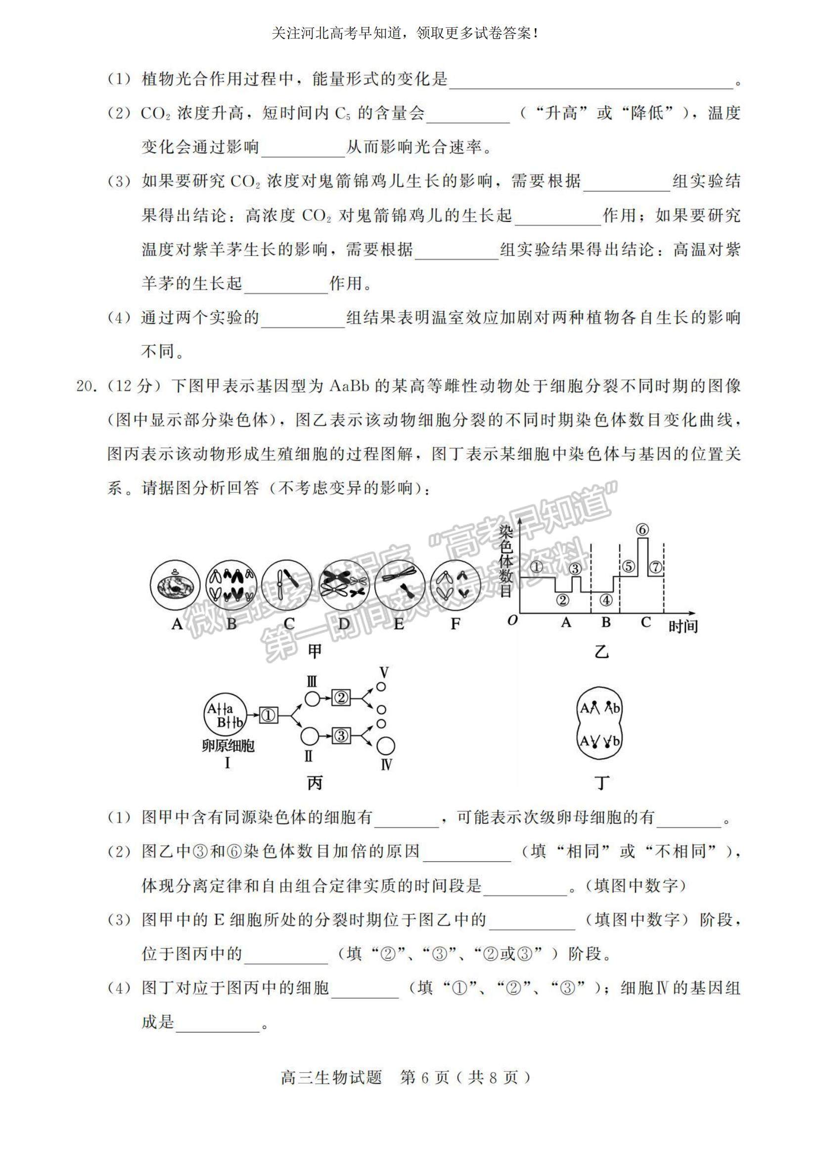 2023河北省邢臺市五校聯(lián)考高三上學(xué)期期中考試生物試題及參考答案