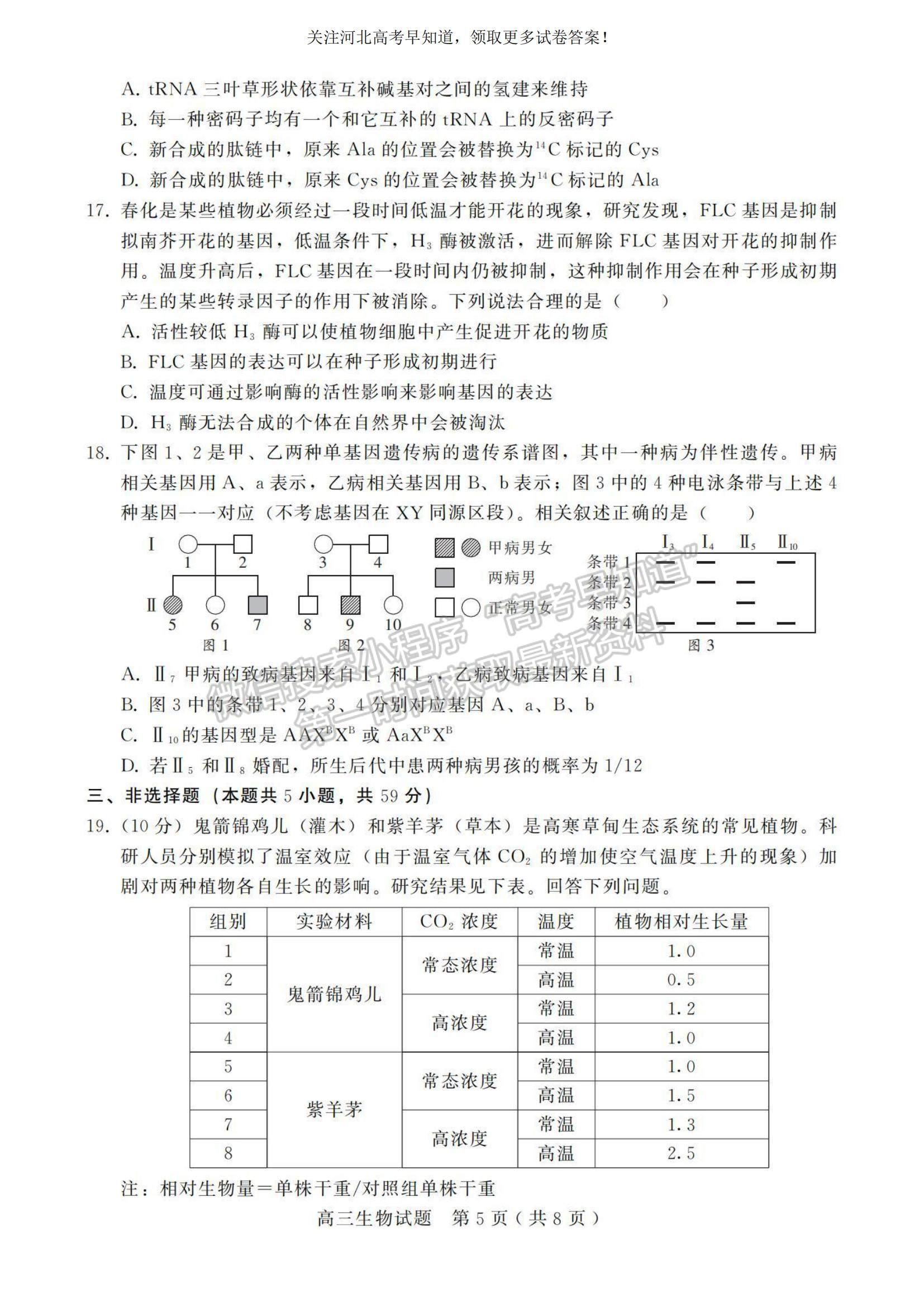 2023河北省邢臺市五校聯(lián)考高三上學(xué)期期中考試生物試題及參考答案