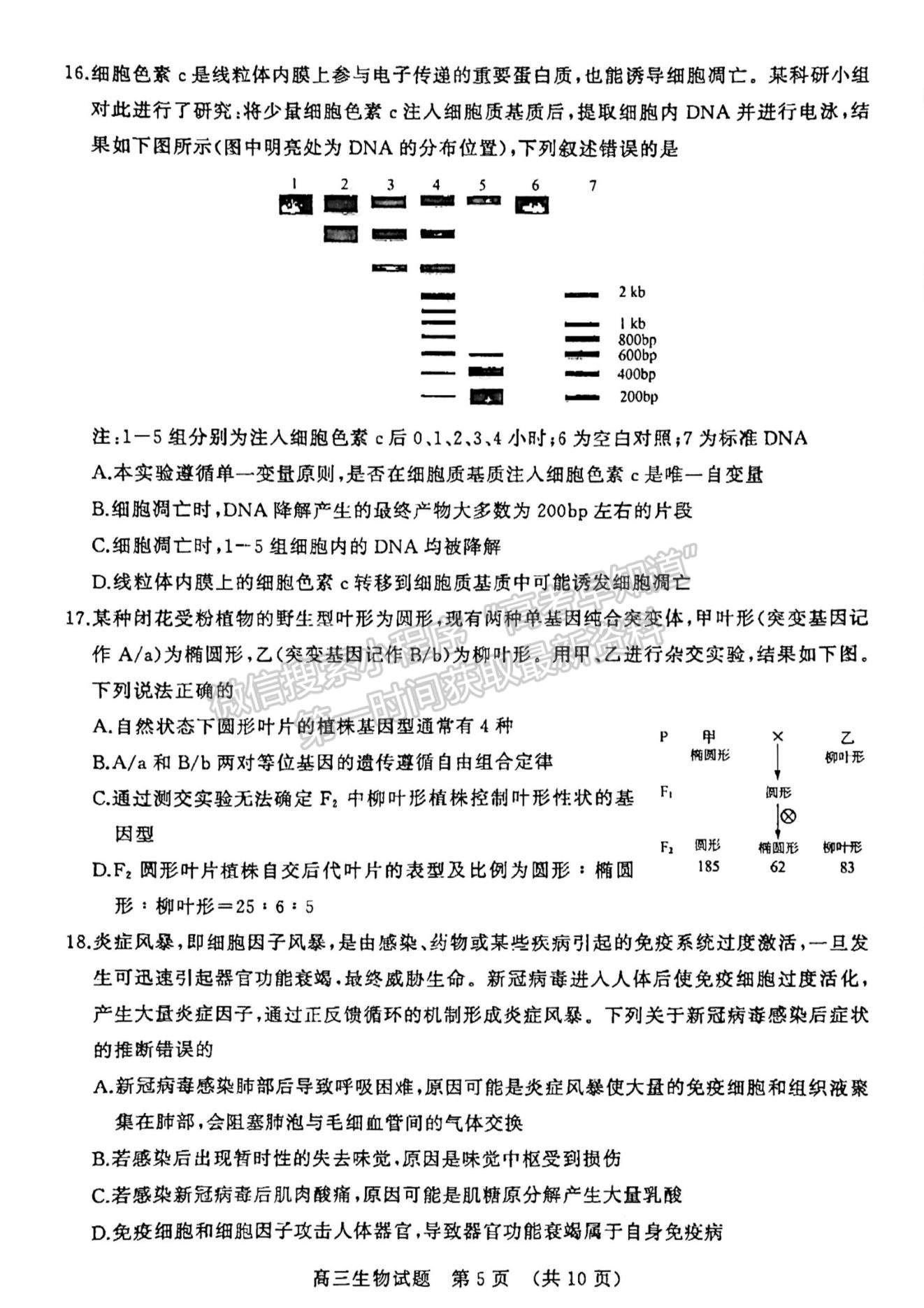 2023山东济南高三一模试卷及答案汇总-生物试卷及答案