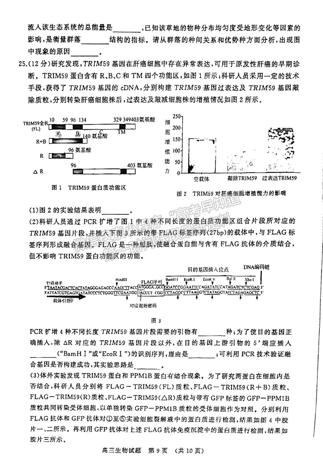 2023山东济南高三一模试卷及答案汇总-生物试卷及答案