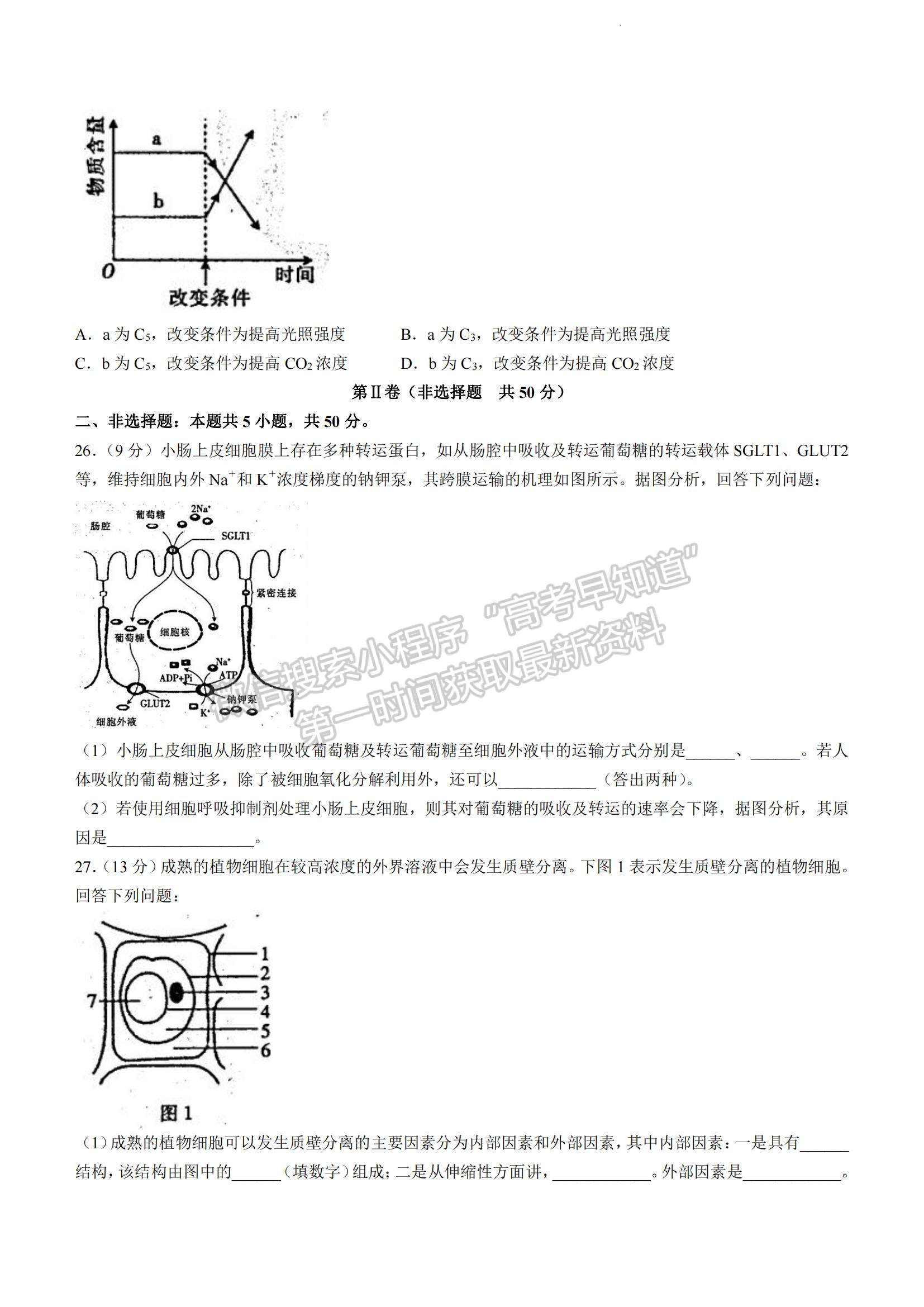 2023河南省豫南九校高三上學(xué)期第二次聯(lián)考生物試題及參考答案