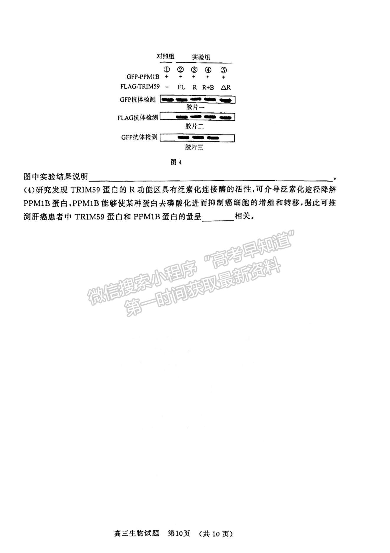 2023山东济南高三一模试卷及答案汇总-生物试卷及答案