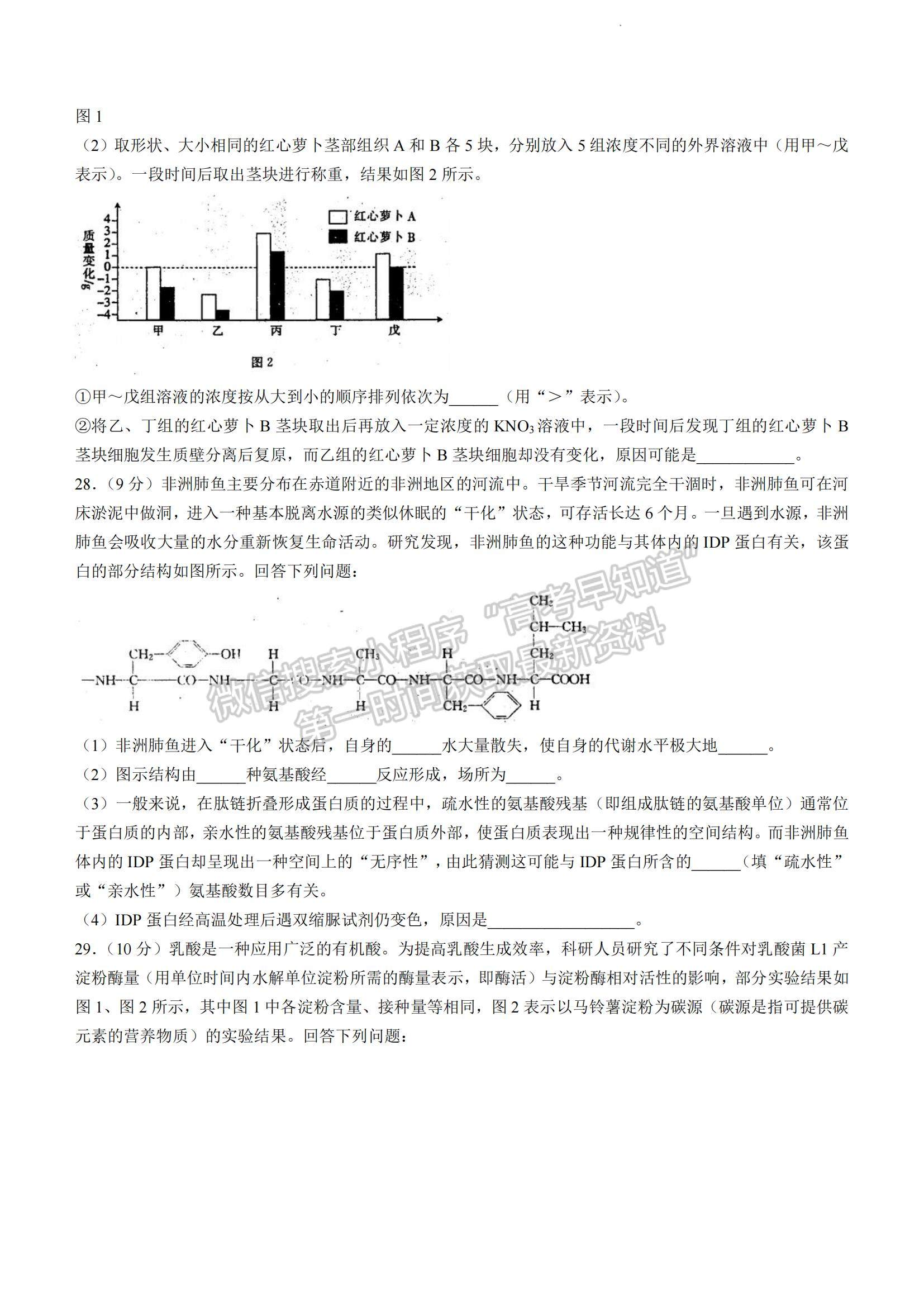 2023河南省豫南名校高三上學(xué)期9月質(zhì)量檢測(cè)生物試題及參考答案