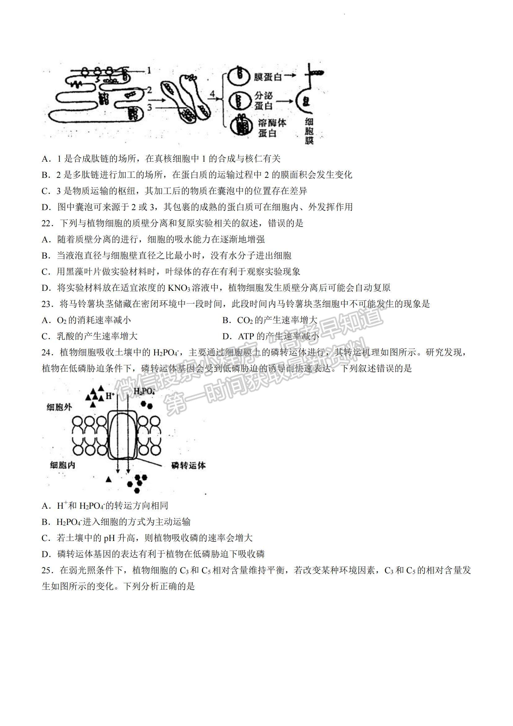 2023河南省豫南九校高三上學(xué)期第二次聯(lián)考生物試題及參考答案