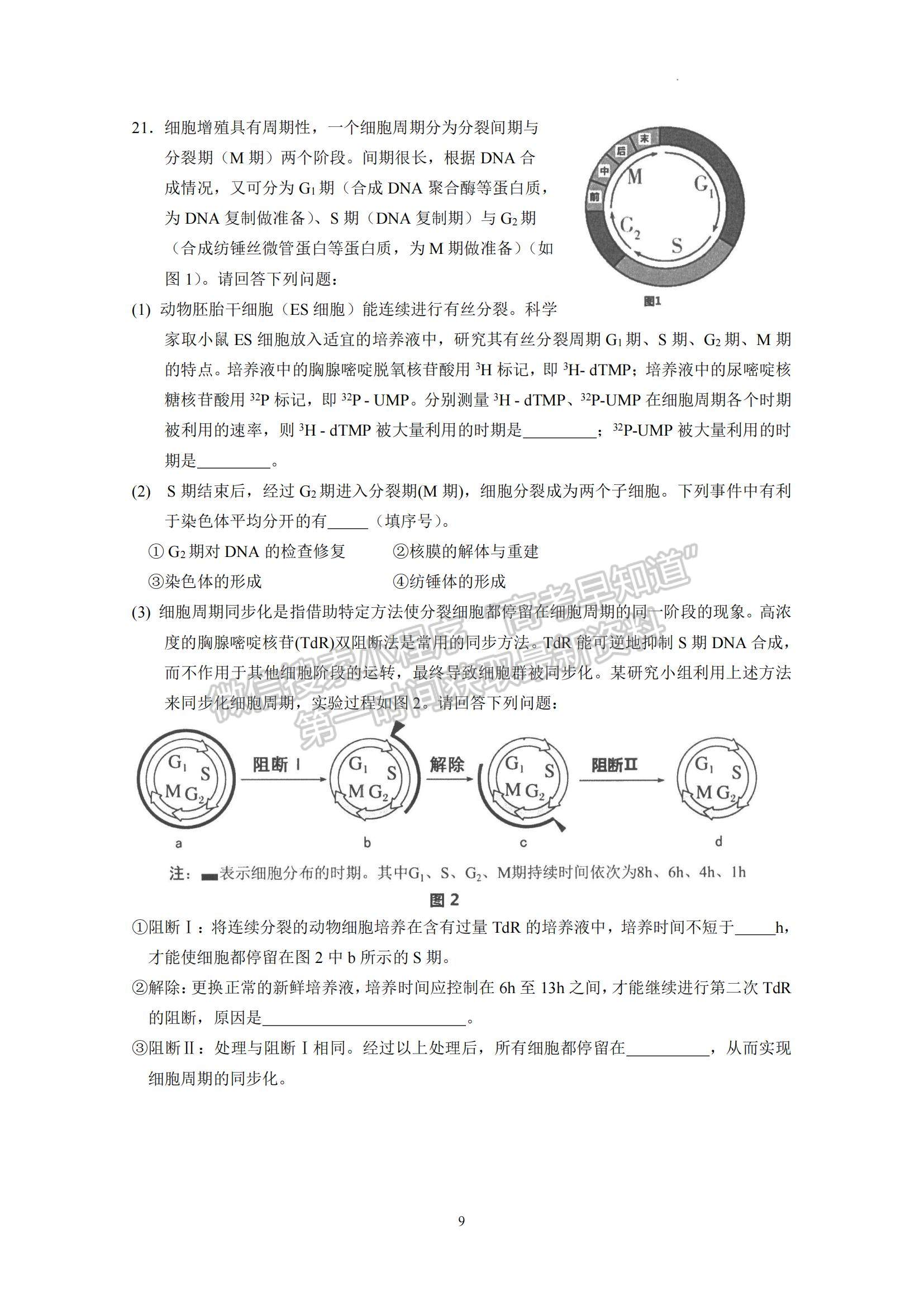 2023廣東省實驗中學高三上學期第一次階段考試生物試題及參考答案