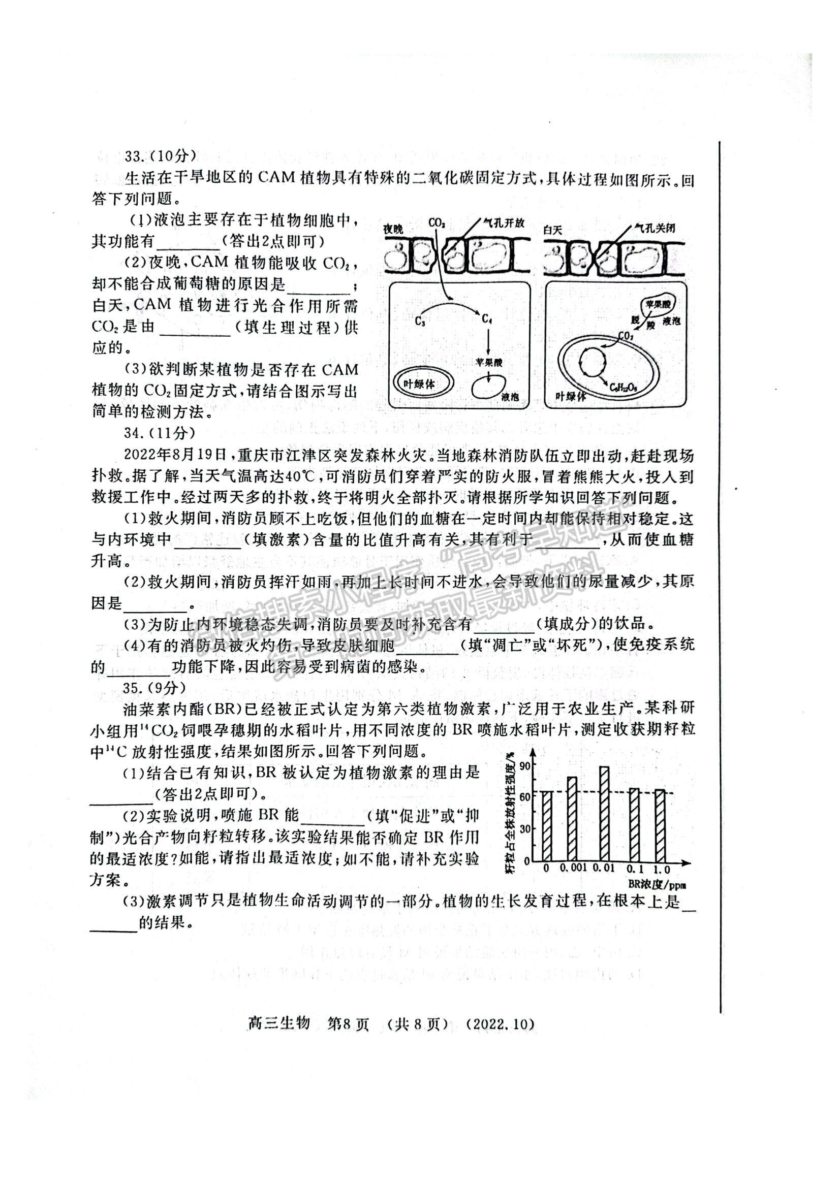 2023河南省洛平許濟(jì)第一次質(zhì)量檢測生物試題及參考答案