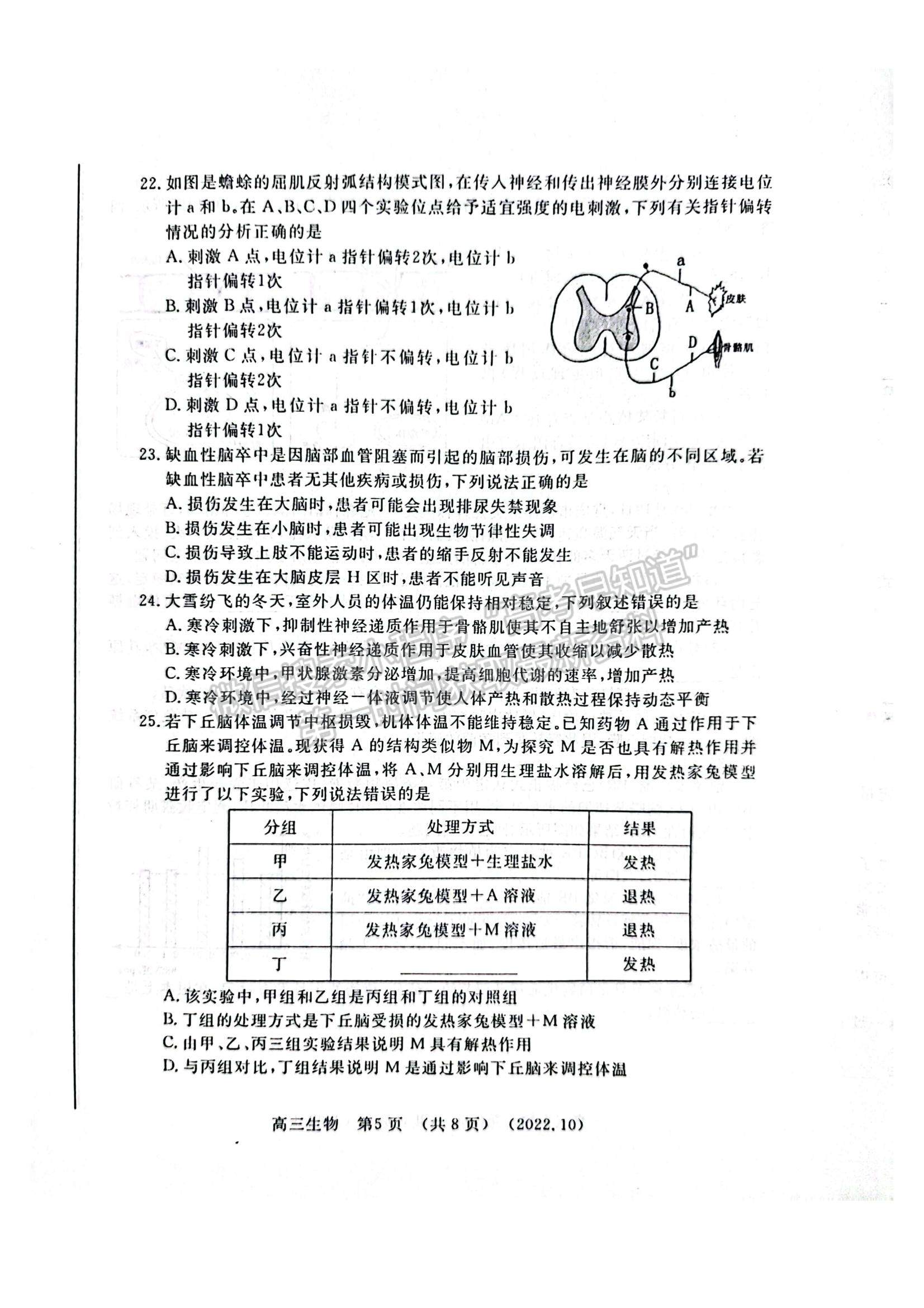 2023河南省洛平許濟(jì)第一次質(zhì)量檢測生物試題及參考答案