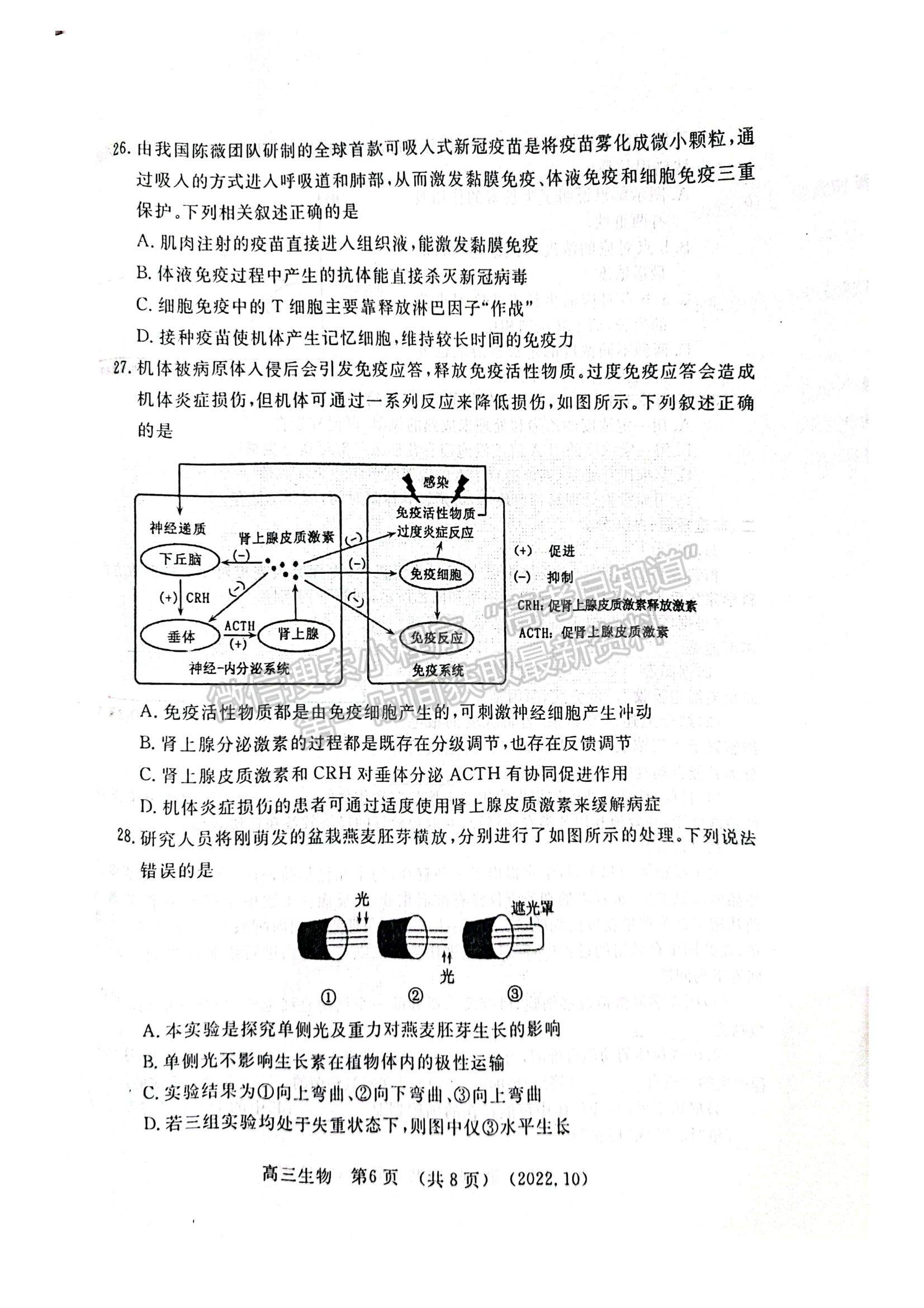 2023河南省洛平許濟(jì)第一次質(zhì)量檢測生物試題及參考答案