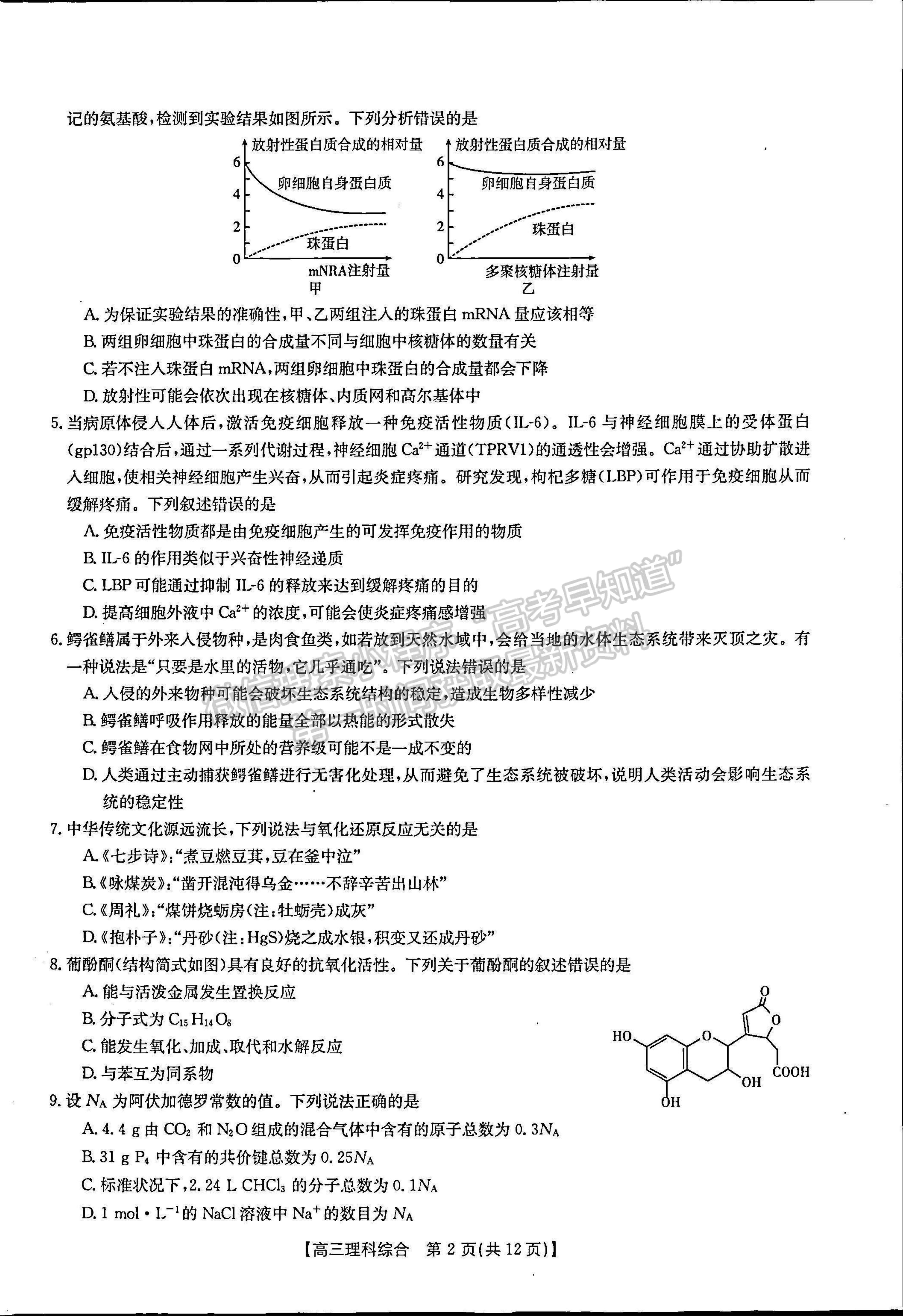 2023河南省豫南名校高三上學(xué)期10月質(zhì)量檢測理綜試題及參考答案