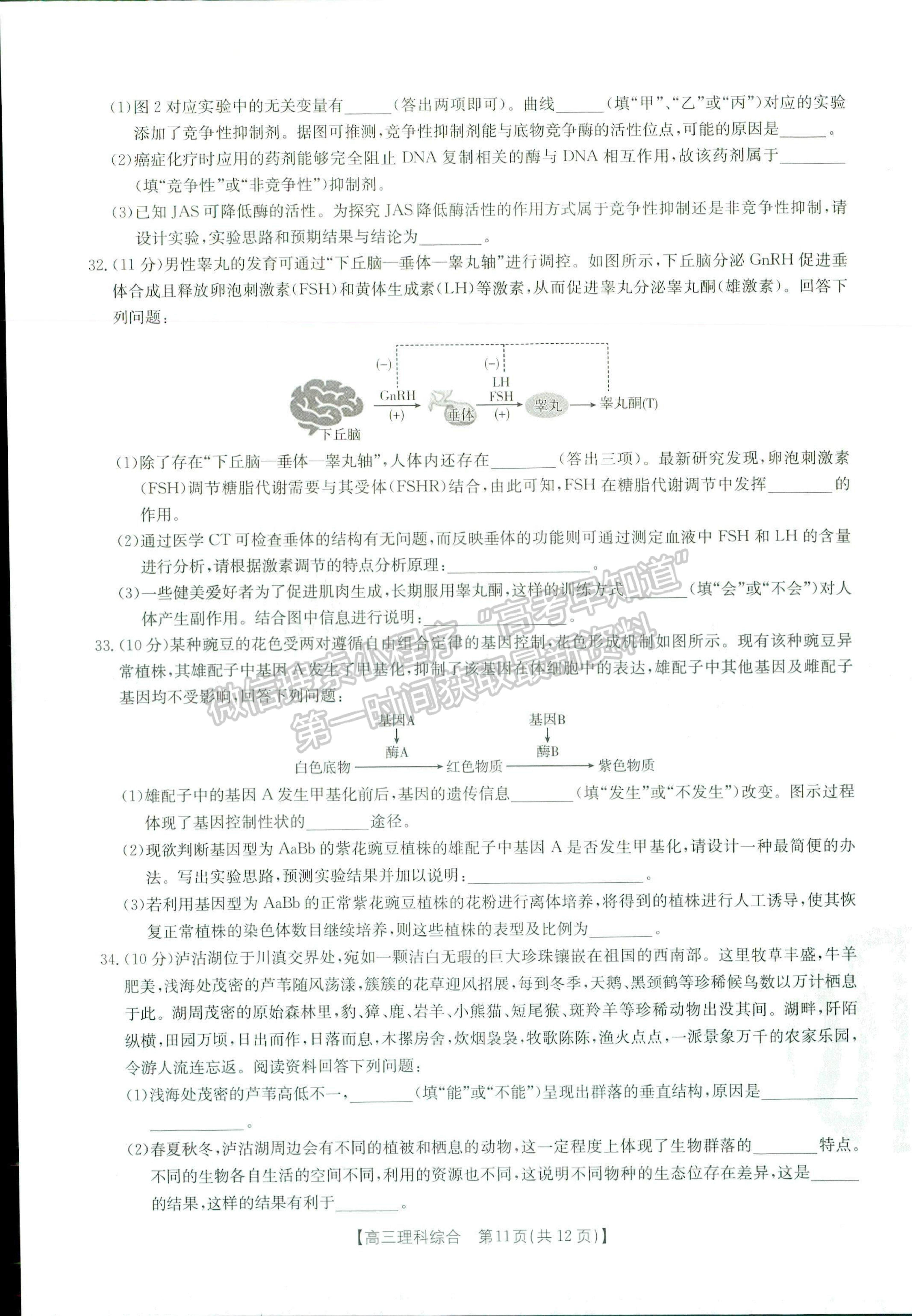 2023河南省豫南名校高三上學期10月質(zhì)量檢測理綜試題及參考答案