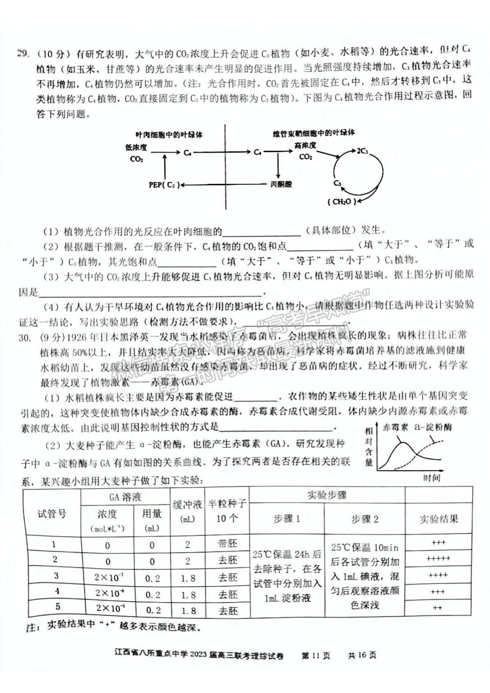 2023江西省八所重点中学高三下学期3月联考(理综）