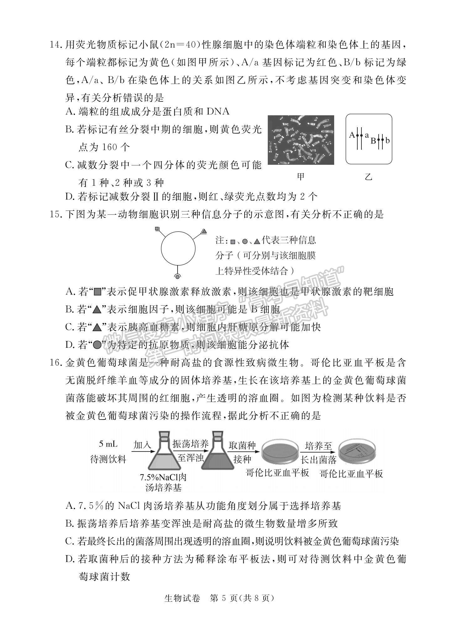 2023廣東省深圳市光明區(qū)高三上學(xué)期1月第二次模擬考試生物試題及參考答案