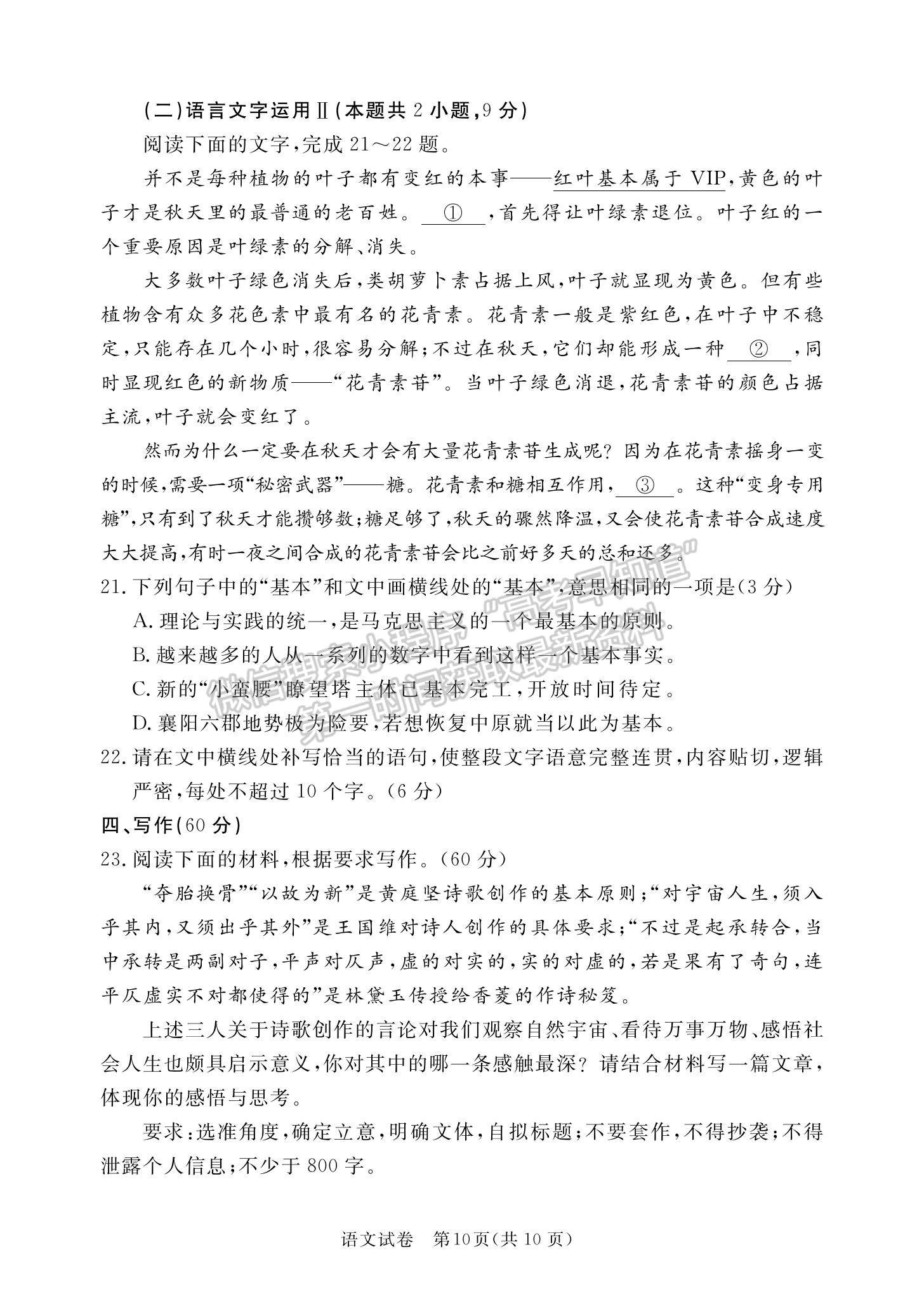 2023廣東省深圳市光明區(qū)高三上學(xué)期1月第二次模擬考試語(yǔ)文試題及參考答案