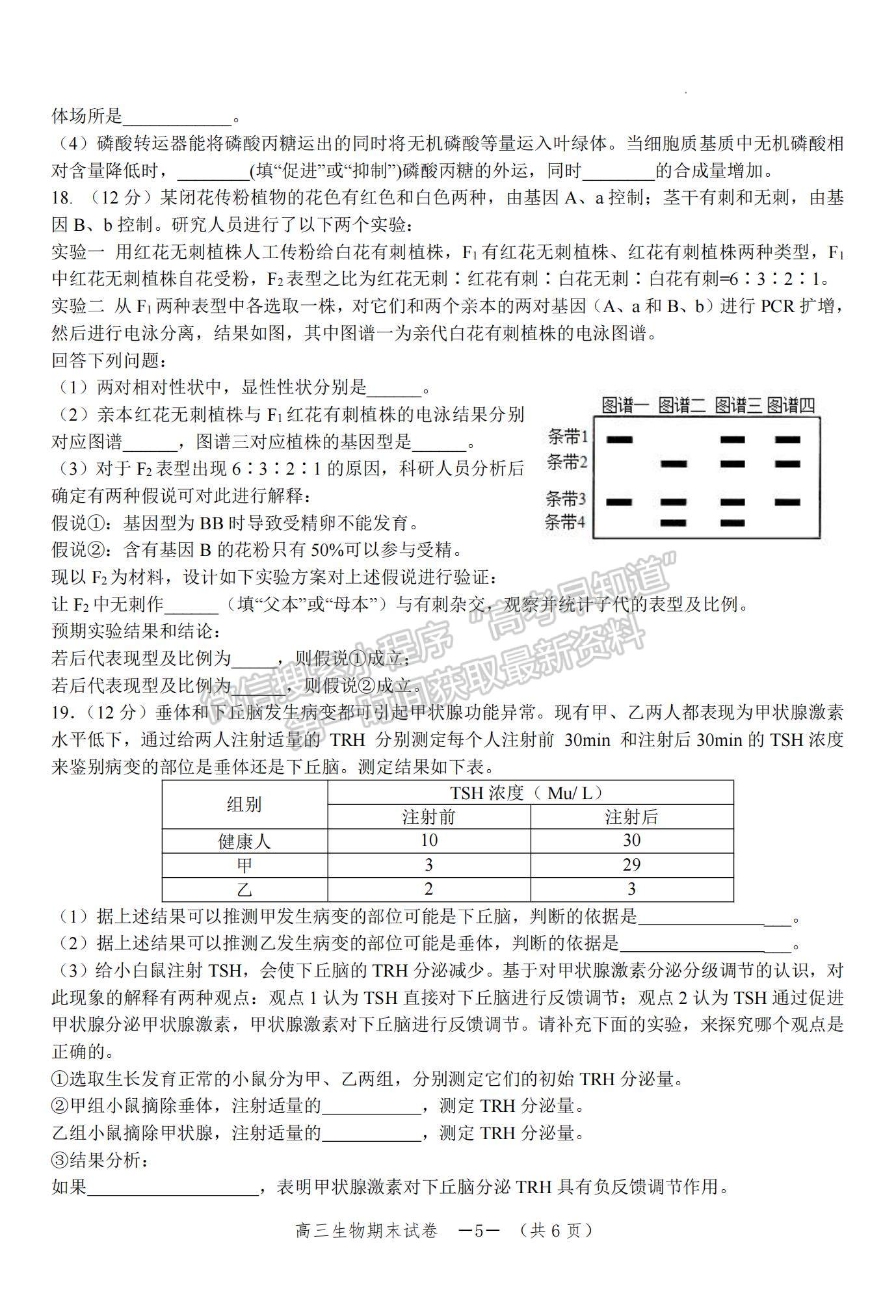 2023湖南省懷化市高三上學期期末考試生物試題及參考答案