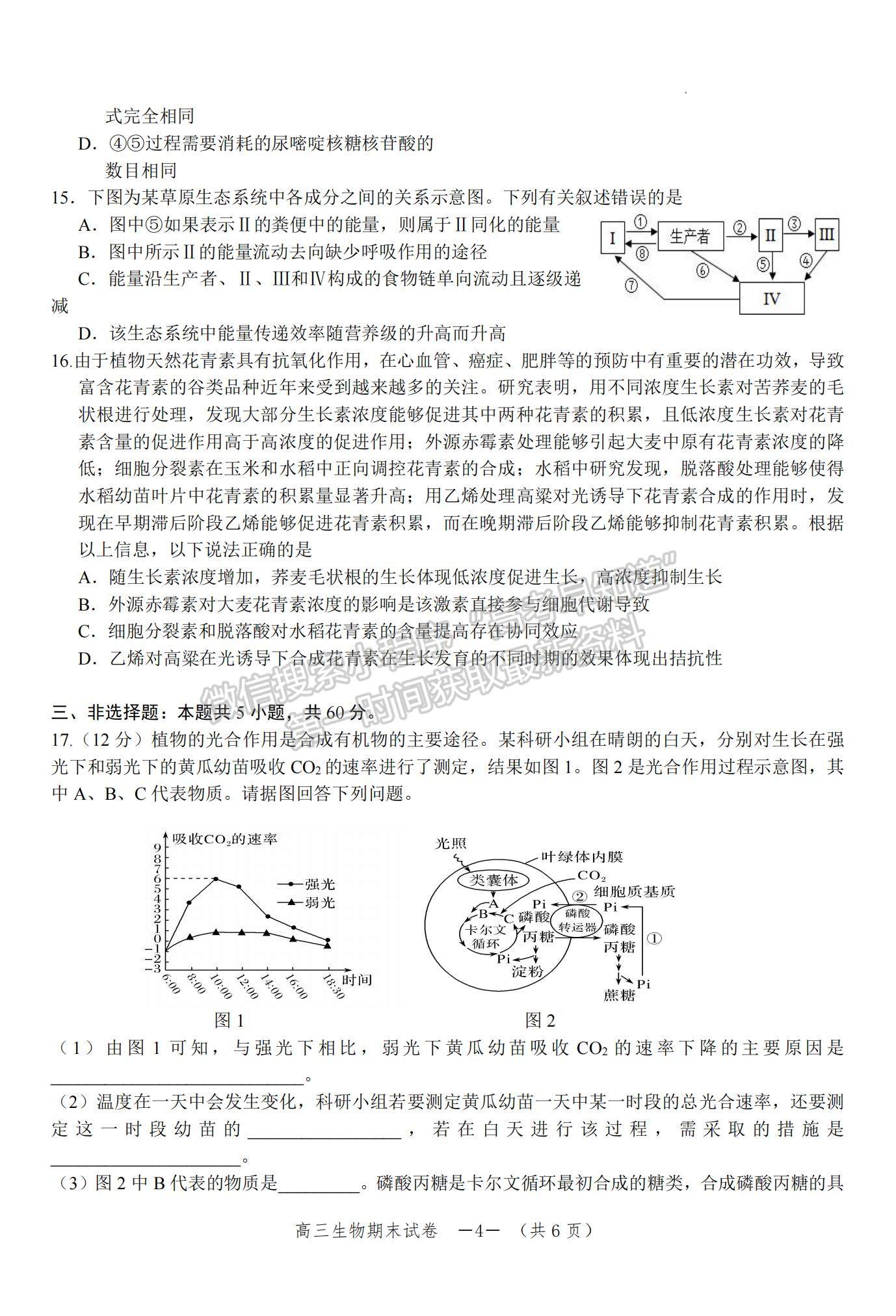 2023湖南省怀化市高三上学期期末考试生物试题及参考答案