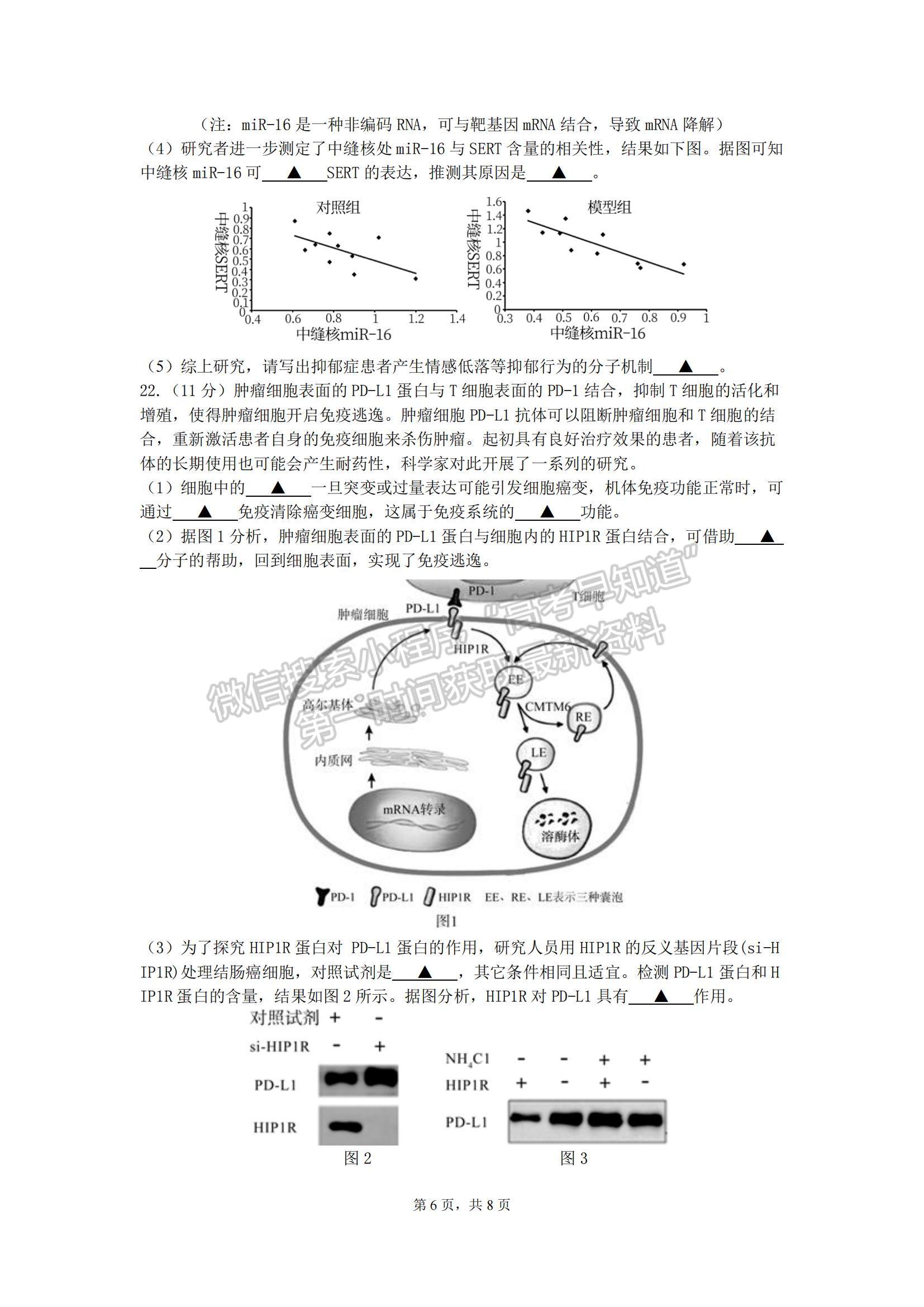 2023江蘇省無錫市江陰市高三上學(xué)期階段測試生物試題及參考答案