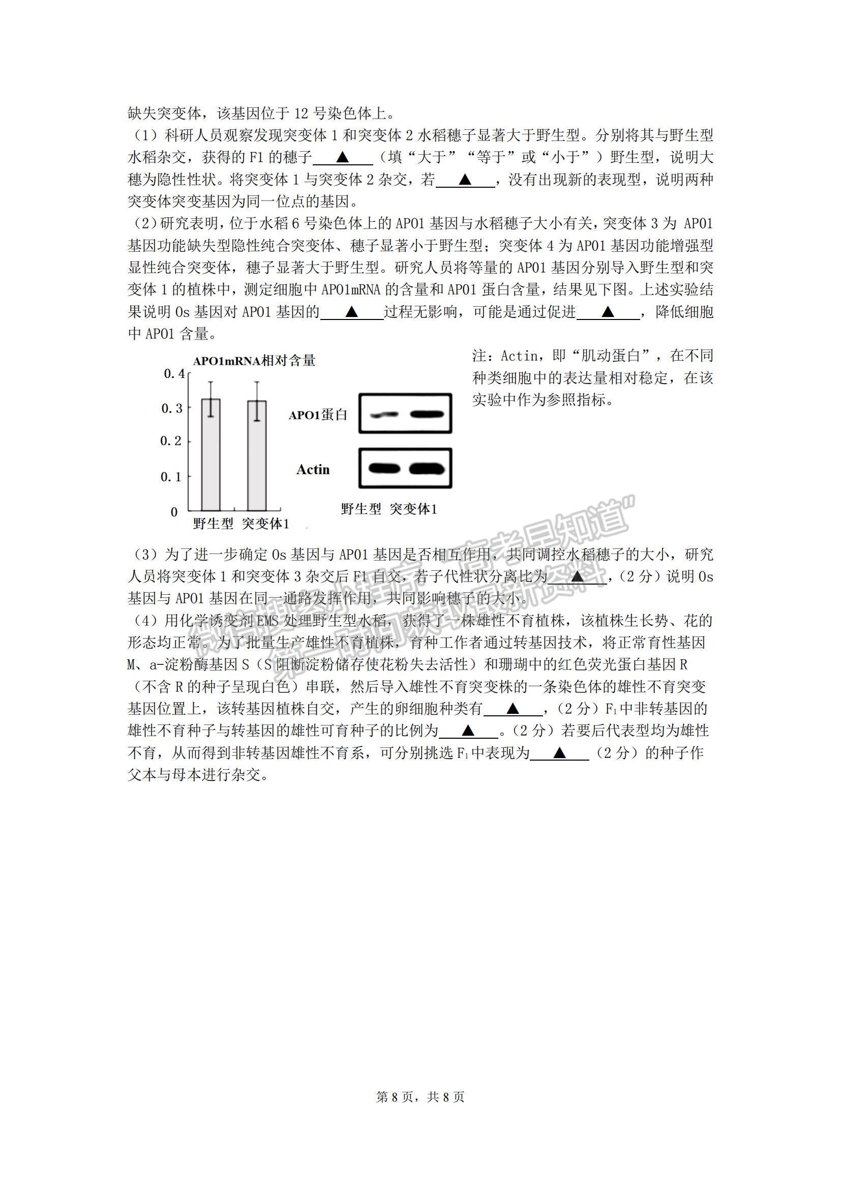 2023江蘇省無錫市江陰市高三上學(xué)期階段測試生物試題及參考答案