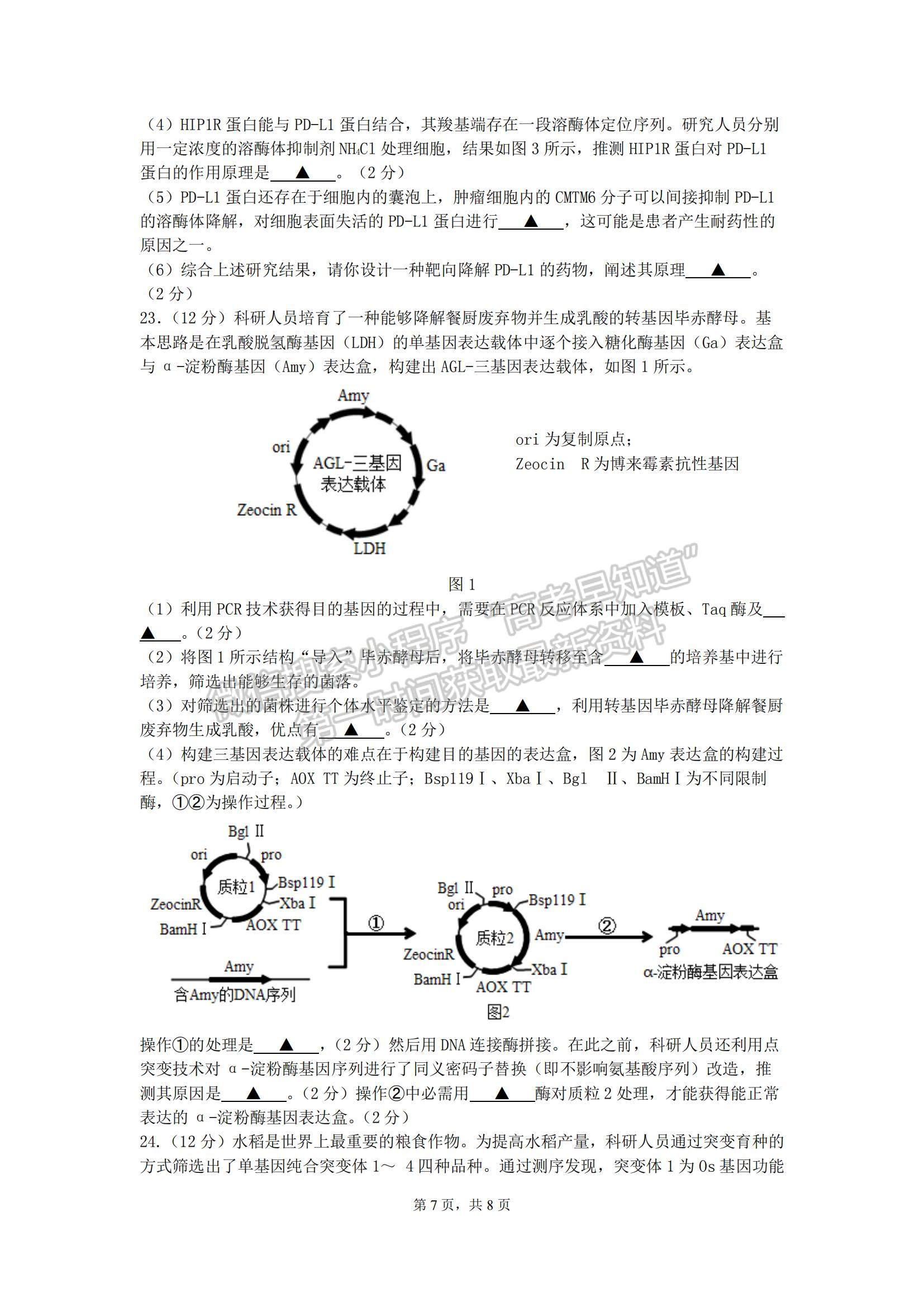 2023江蘇省無錫市江陰市高三上學(xué)期階段測試生物試題及參考答案