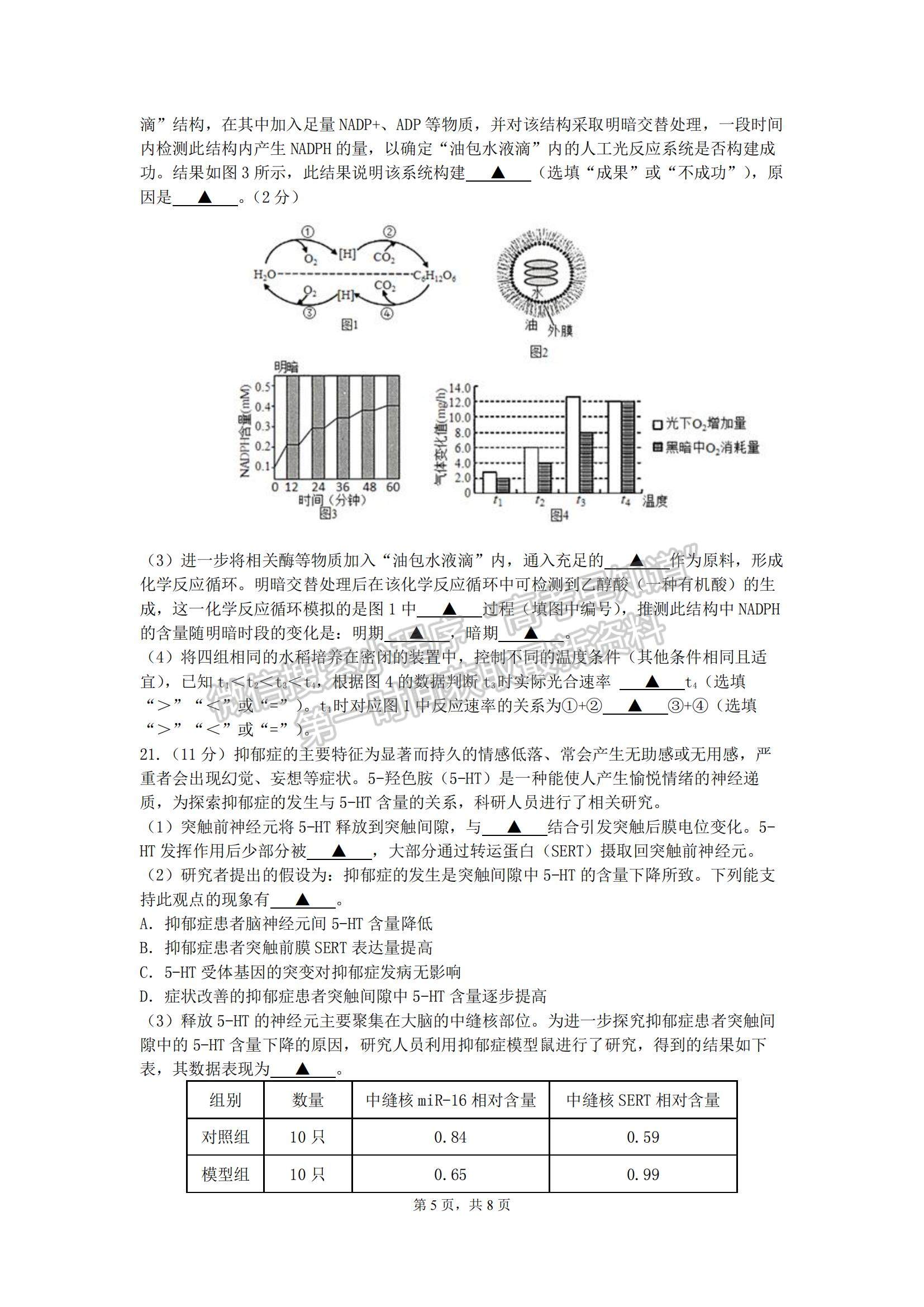 2023江蘇省無錫市江陰市高三上學(xué)期階段測試生物試題及參考答案