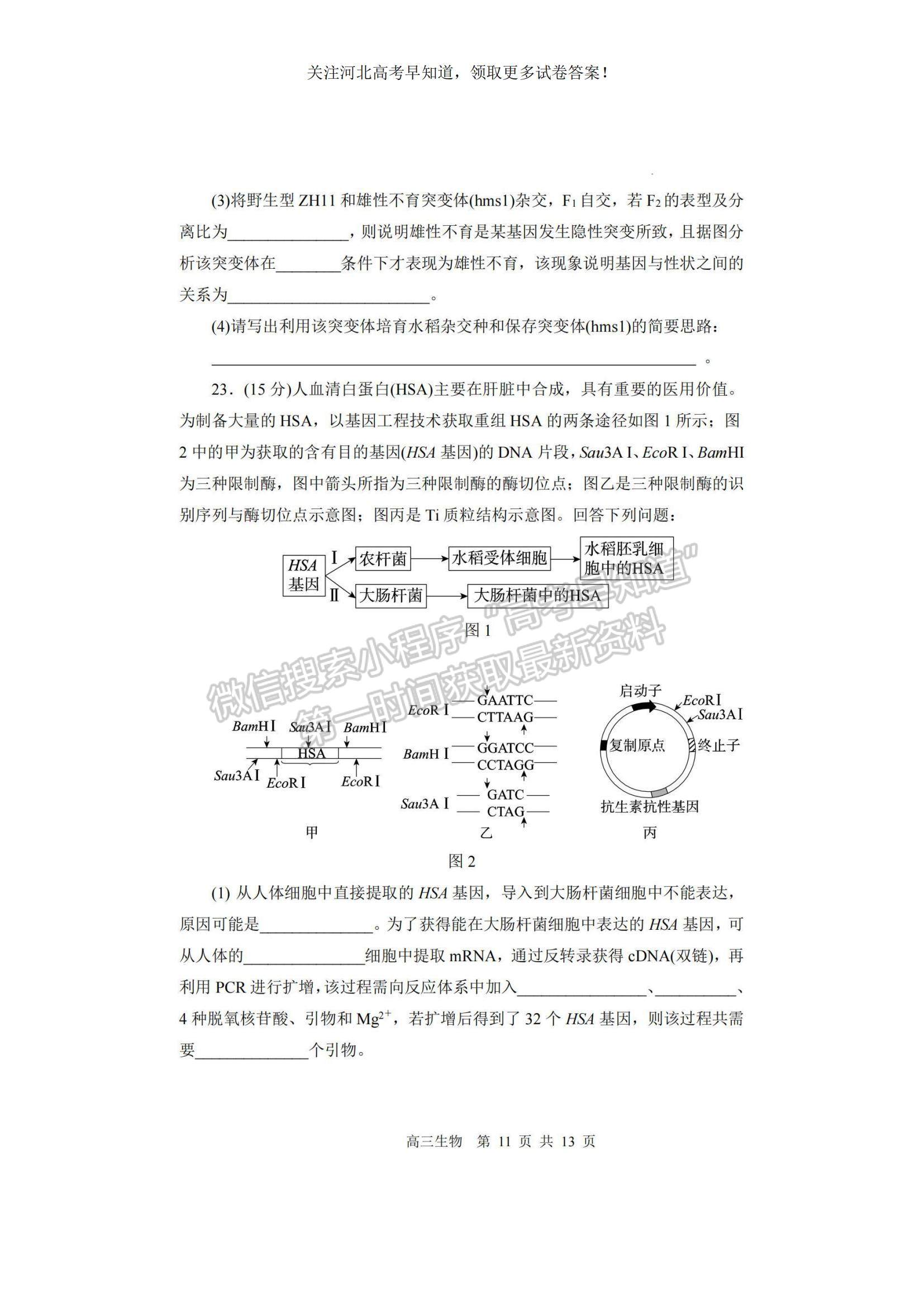 2023河北省張家口市高三上學期期末生物試題及參考答案