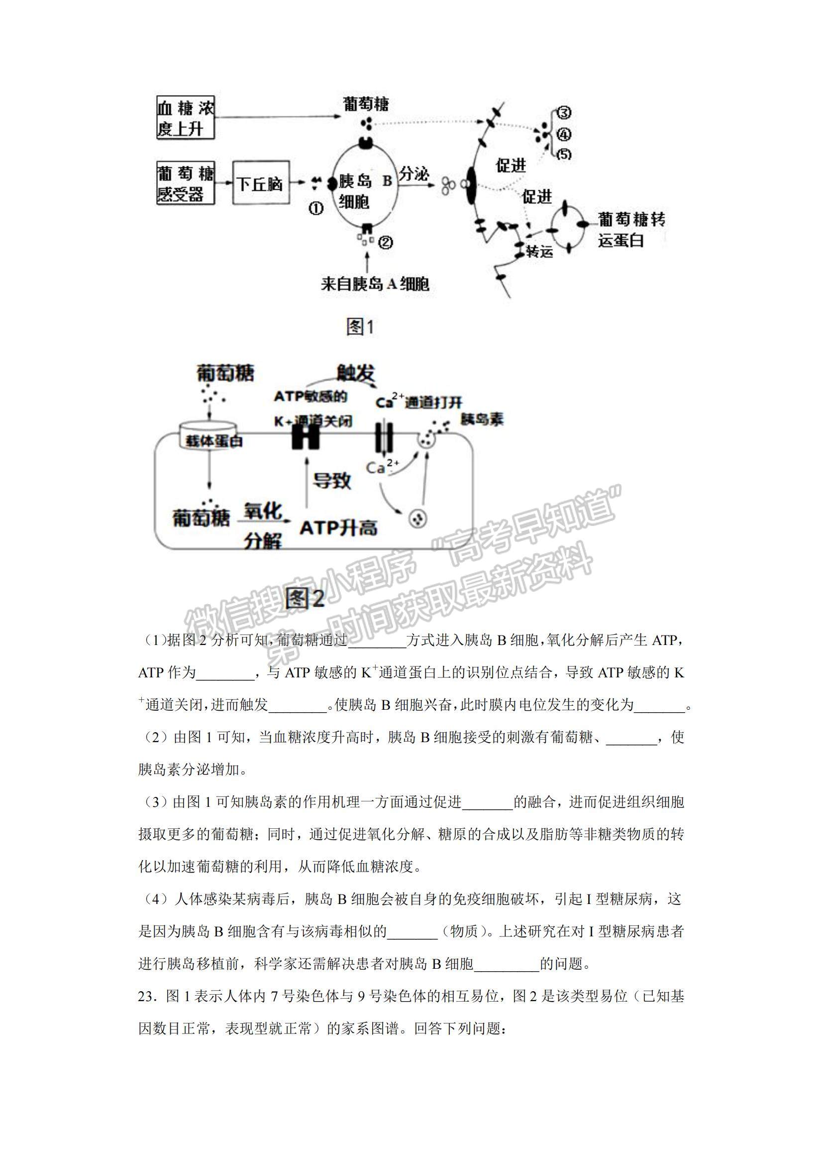 2023山東省青島二中高三上學(xué)期1月期末生物試題及參考答案