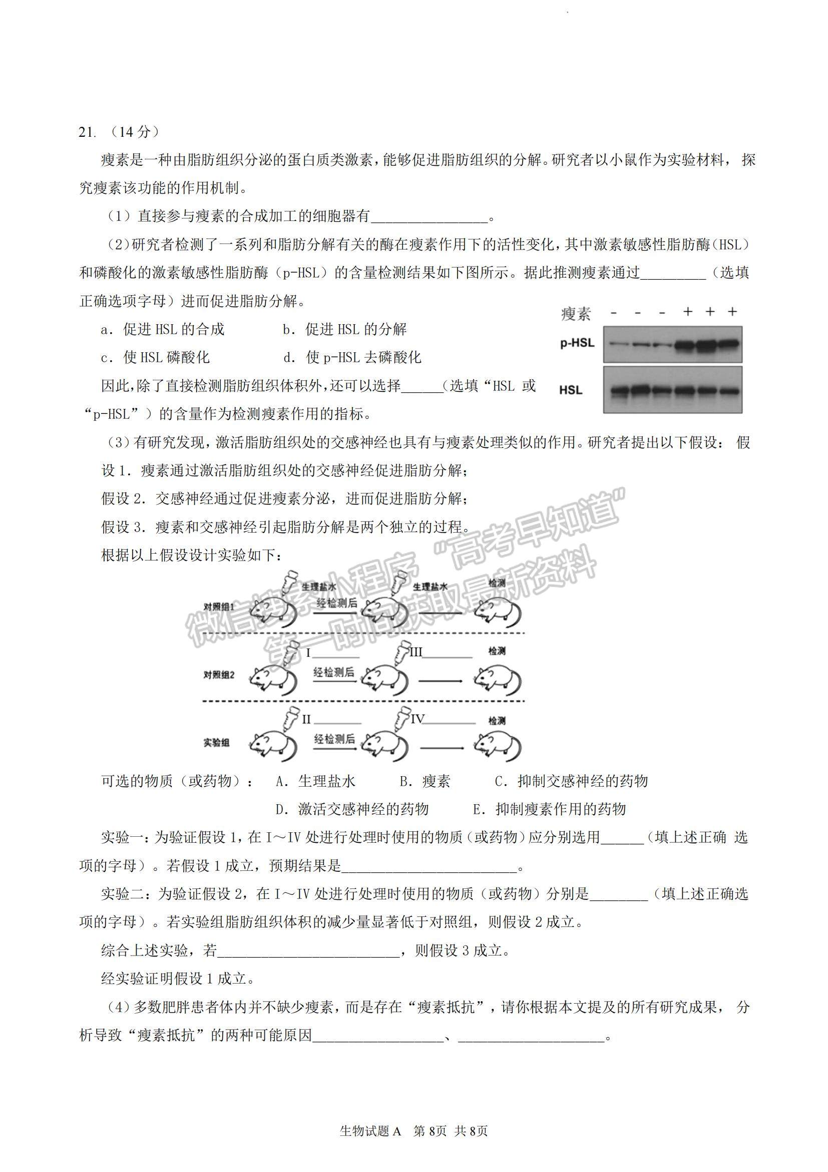 2023廣東省深圳中學(xué)高三上學(xué)期第一次階段測試生物A卷試題及參考答案