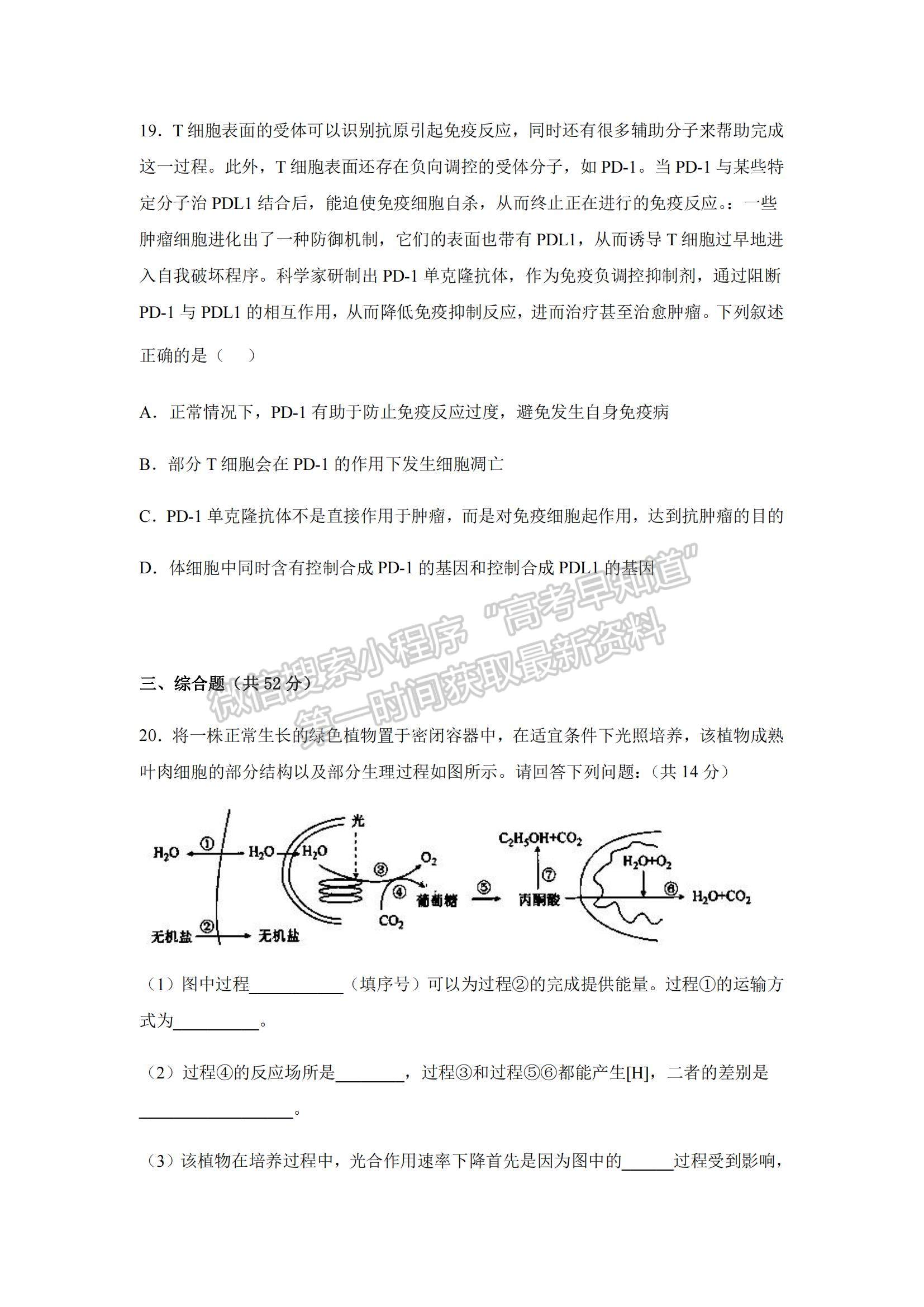 2023江蘇省常州高級(jí)中學(xué)高三上學(xué)期1月月考生物試題及參考答案