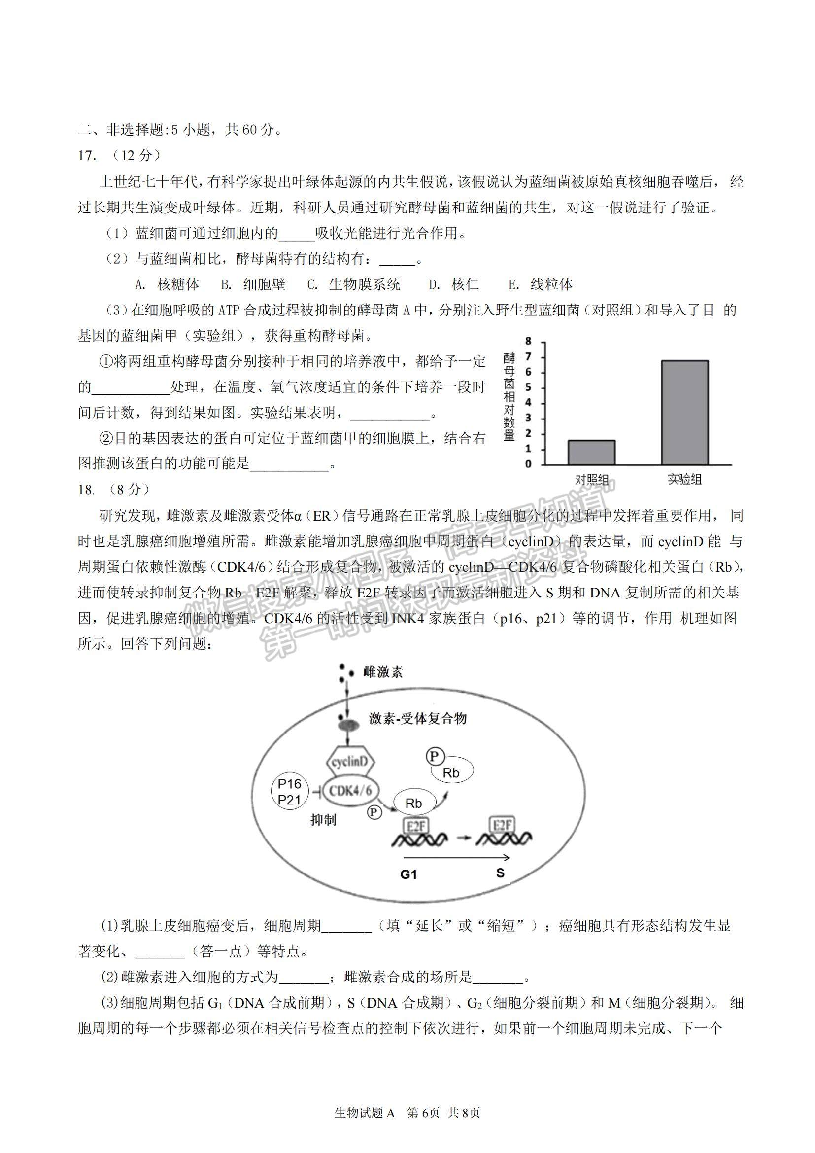 2023廣東省深圳中學(xué)高三上學(xué)期第一次階段測試生物A卷試題及參考答案