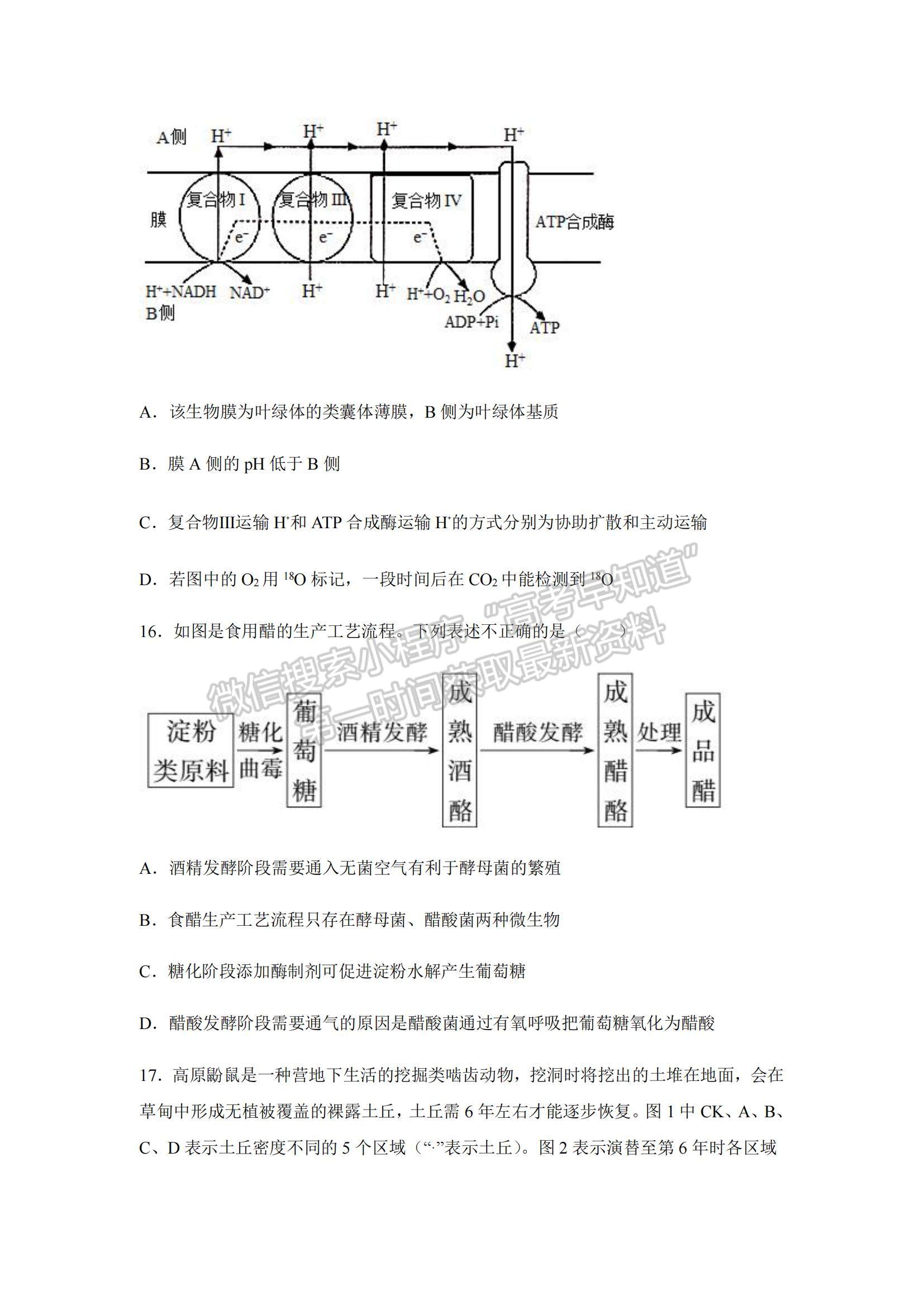 2023江蘇省常州高級(jí)中學(xué)高三上學(xué)期1月月考生物試題及參考答案