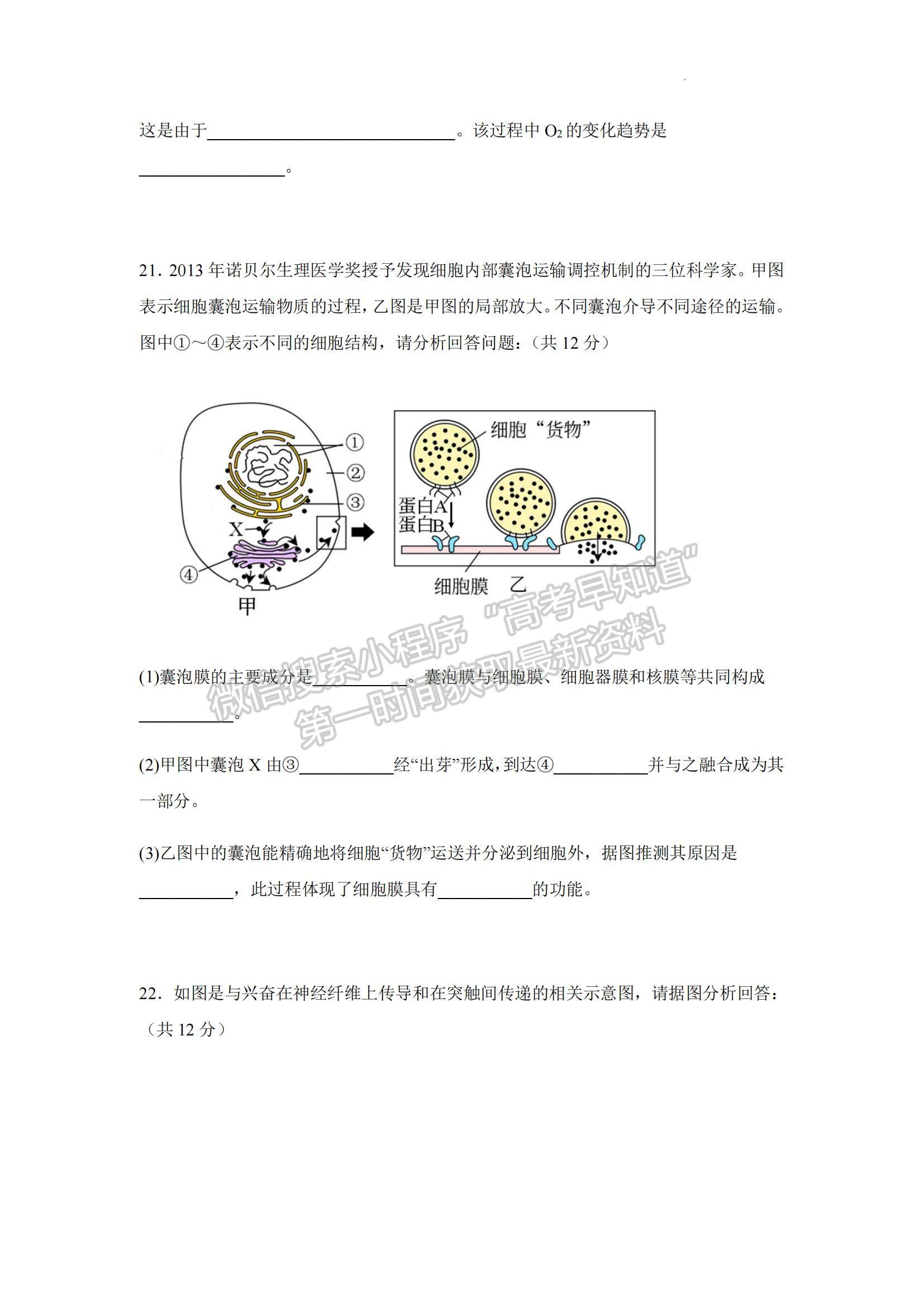 2023江蘇省常州高級中學高三上學期1月月考生物試題及參考答案