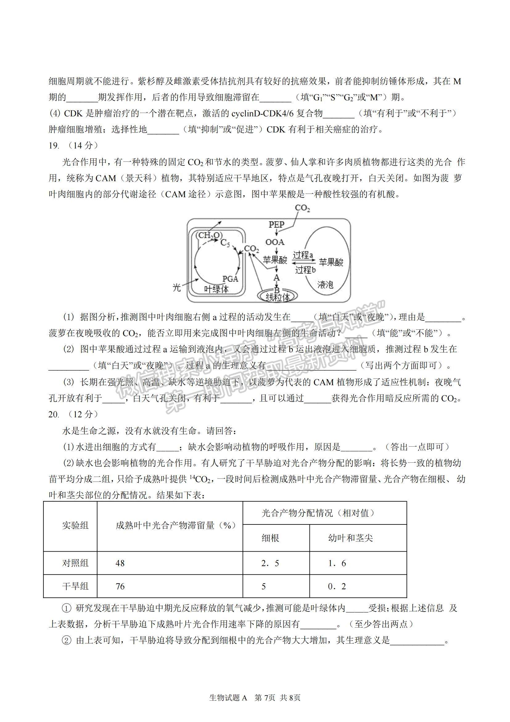 2023廣東省深圳中學(xué)高三上學(xué)期第一次階段測(cè)試生物A卷試題及參考答案