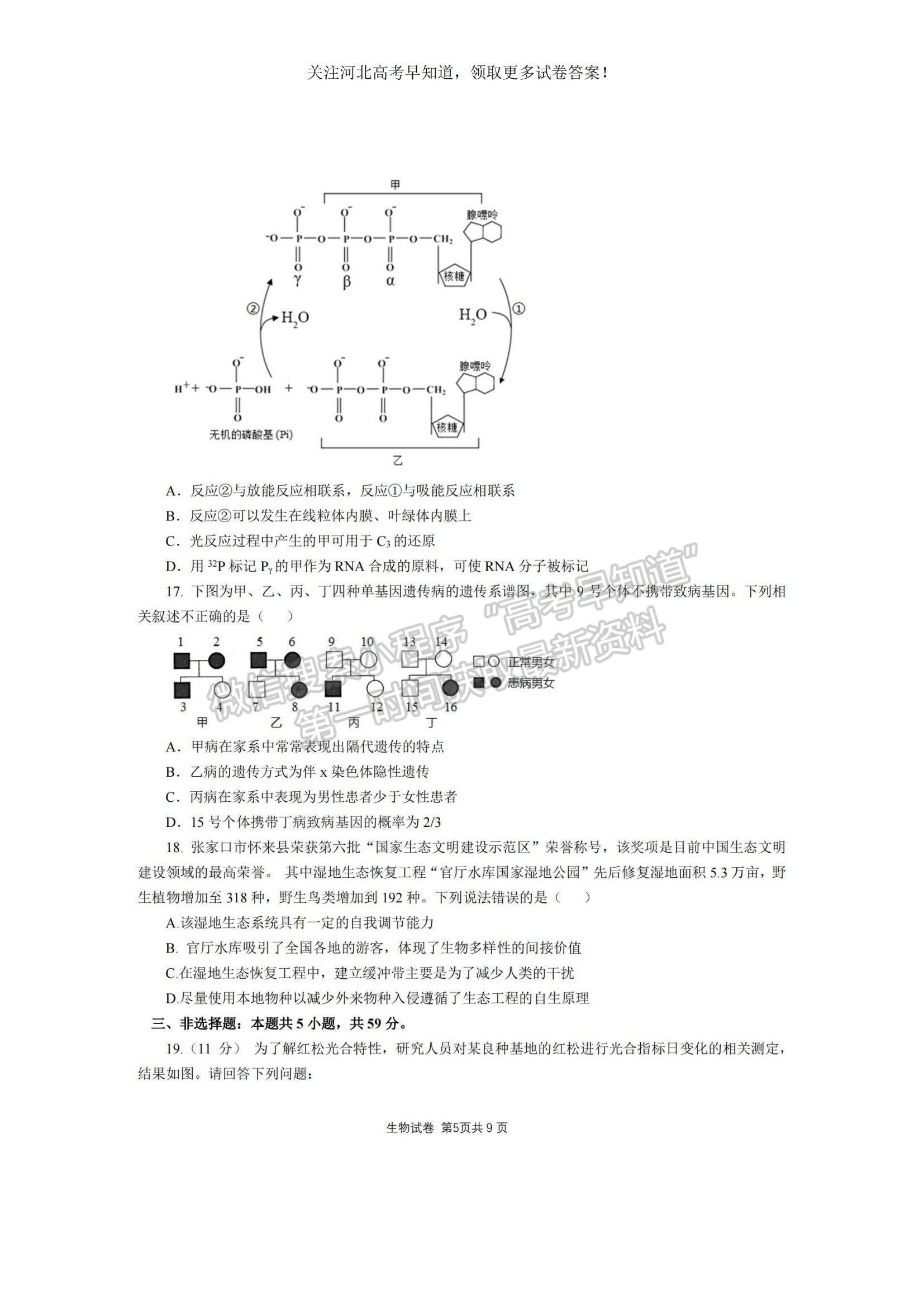 2023河北省“五個一”名校聯(lián)盟高三上學(xué)期期末聯(lián)考生物試題及參考答案