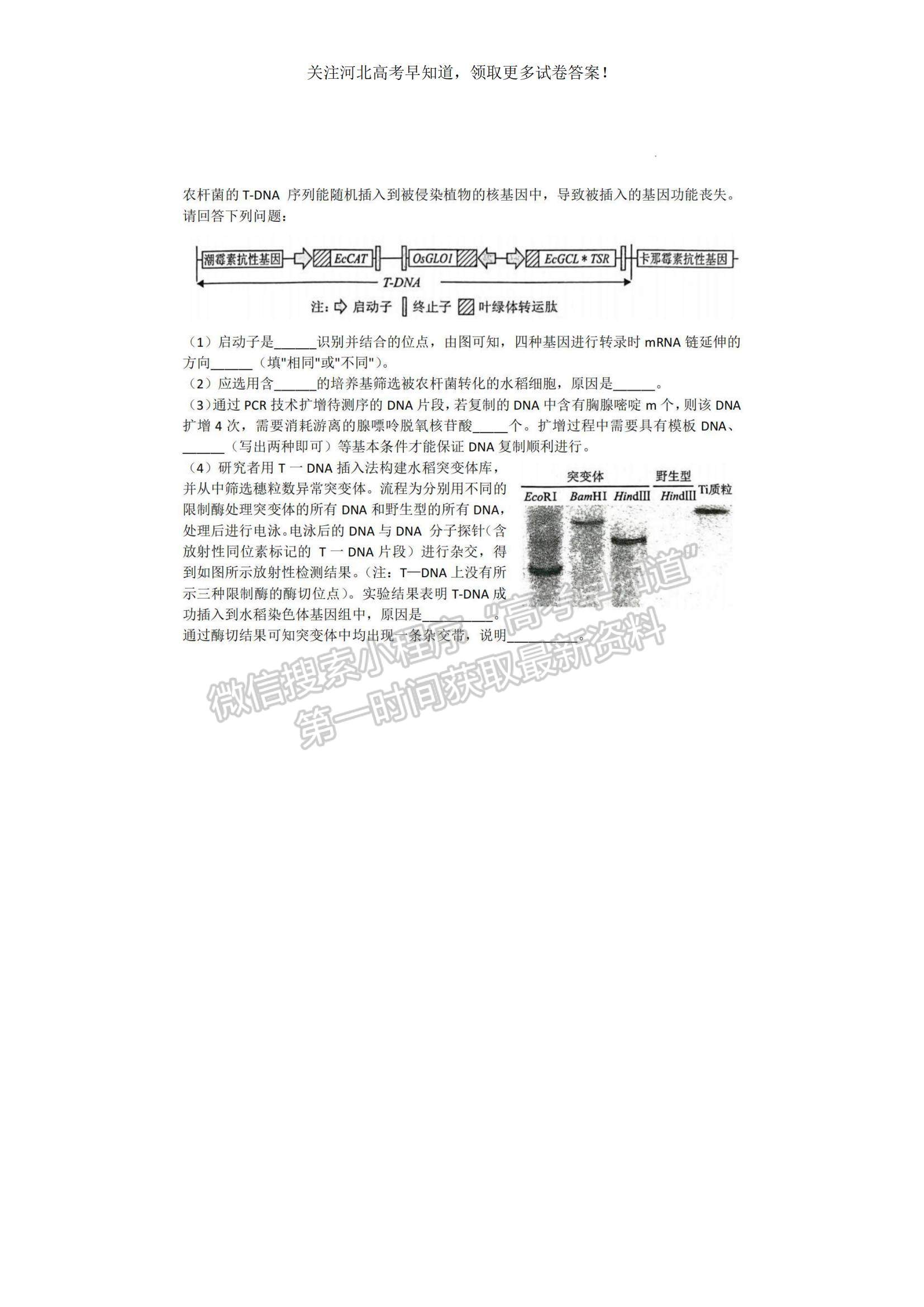 2023河北省保定市高三上學(xué)期1月期末調(diào)研考試生物試題及參考答案