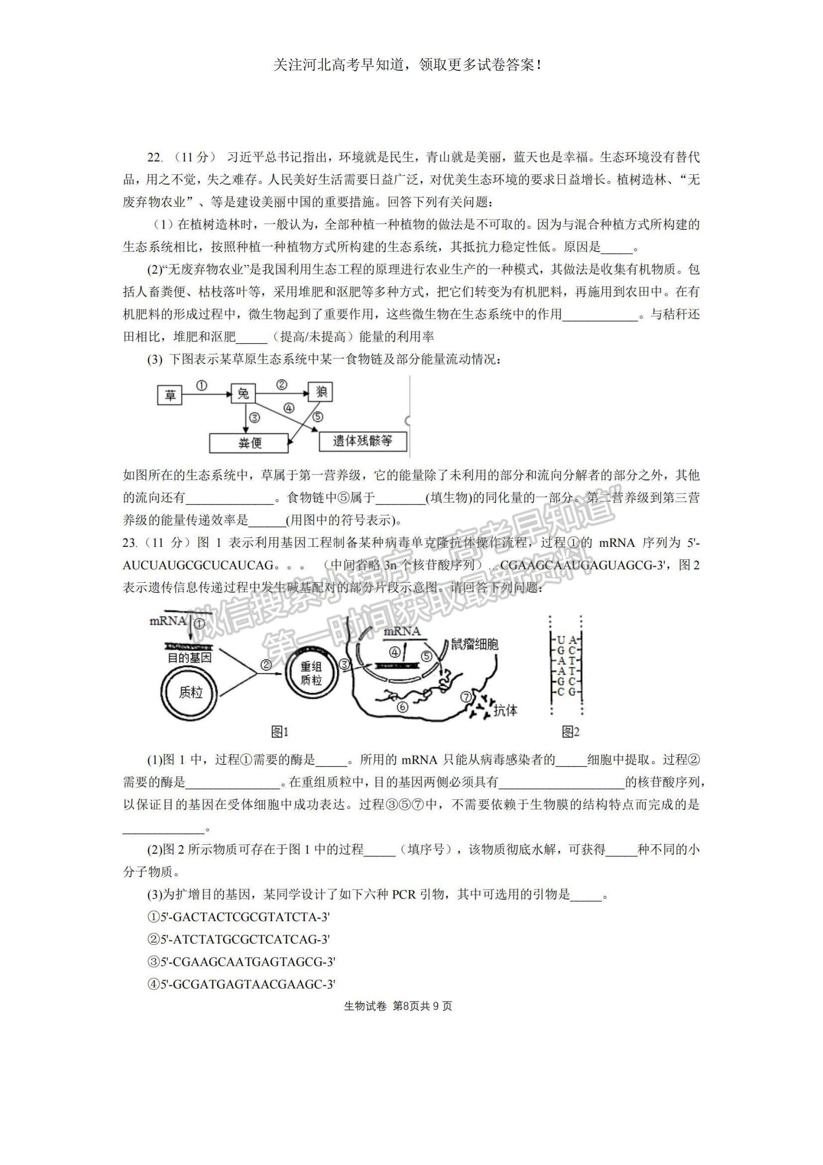 2023河北省“五個一”名校聯(lián)盟高三上學期期末聯(lián)考生物試題及參考答案