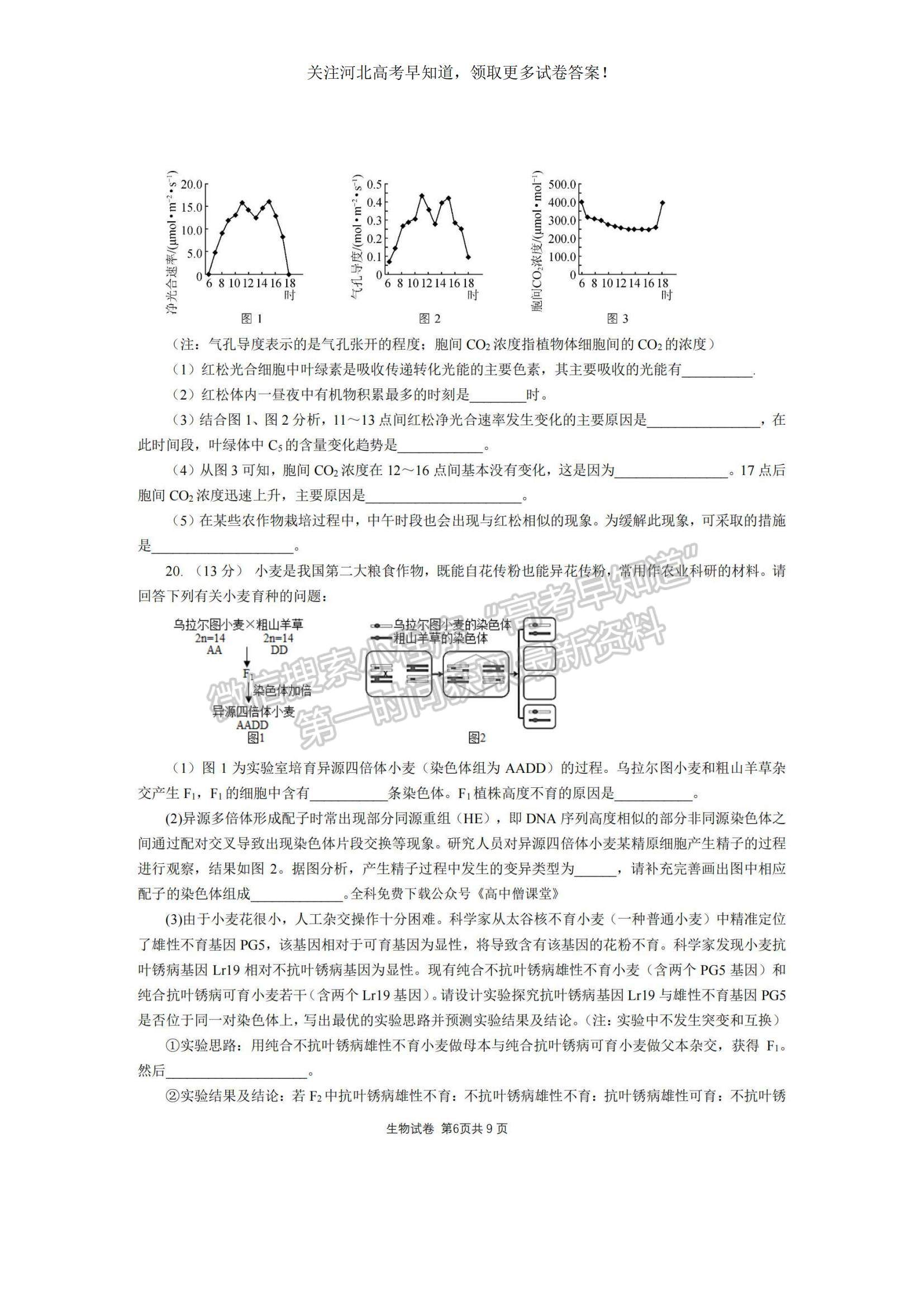 2023河北省“五個一”名校聯(lián)盟高三上學期期末聯(lián)考生物試題及參考答案