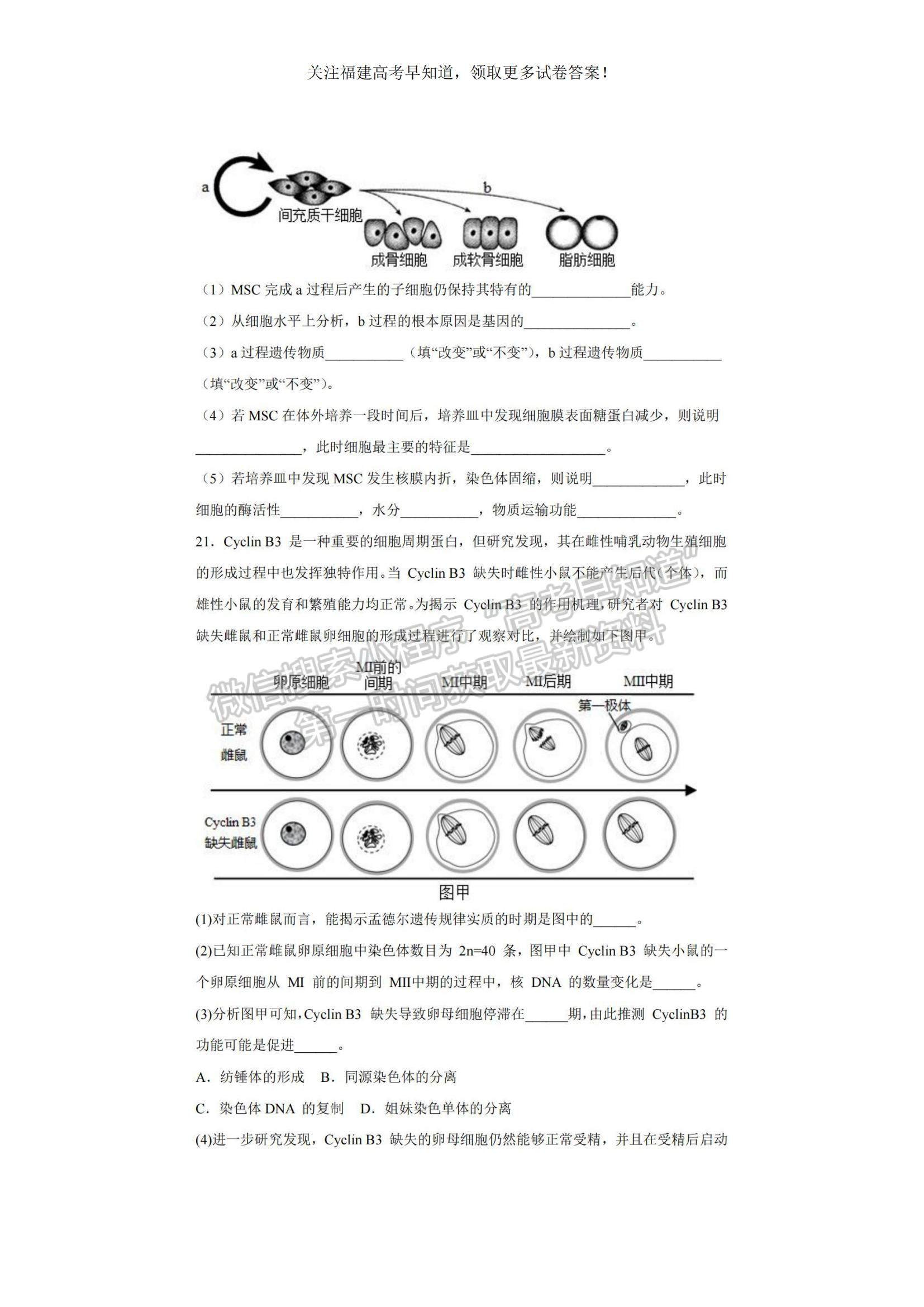 2023福建省福州一中高三上學(xué)期第一次調(diào)研測試生物試題及參考答案