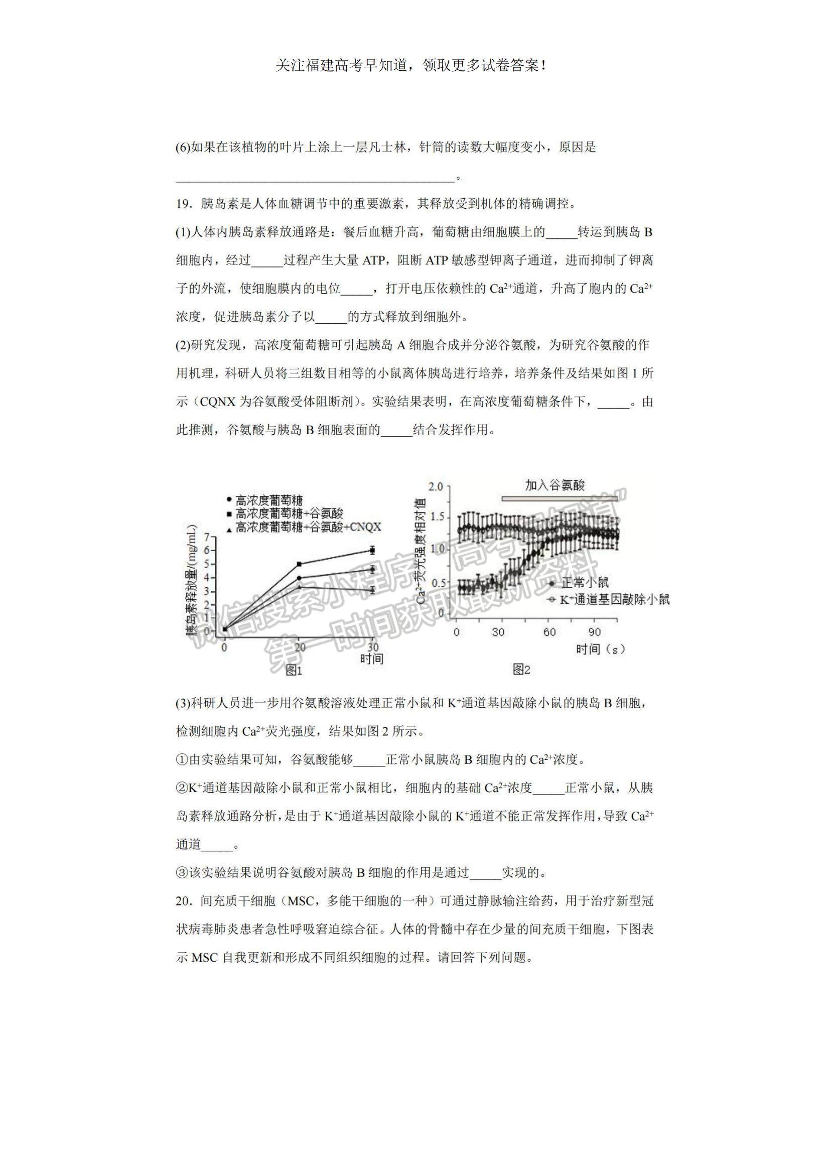 2023福建省福州一中高三上學(xué)期第一次調(diào)研測試生物試題及參考答案