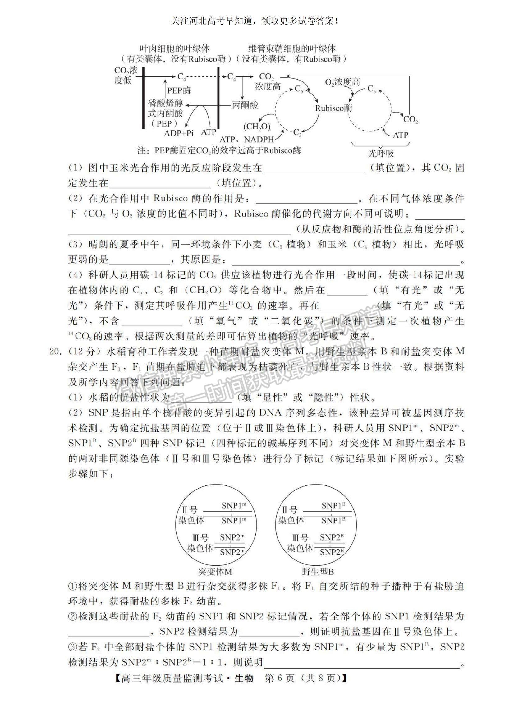 2023河北省高三下學(xué)期質(zhì)量監(jiān)測（開學(xué)考）生物試題及參考答案