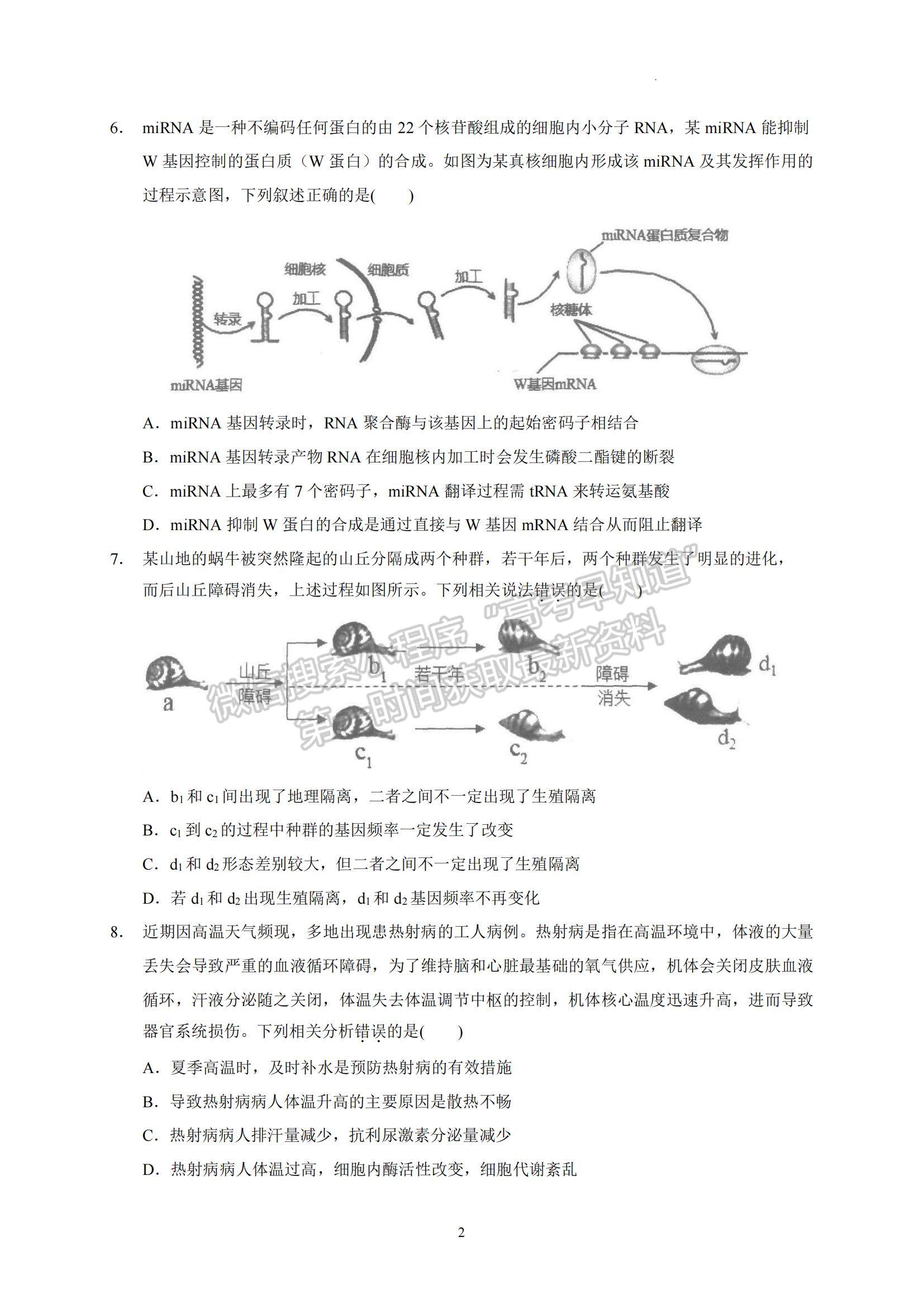 2023廣東省汕頭市金山中學高三上學期摸底考試生物試題及參考答案