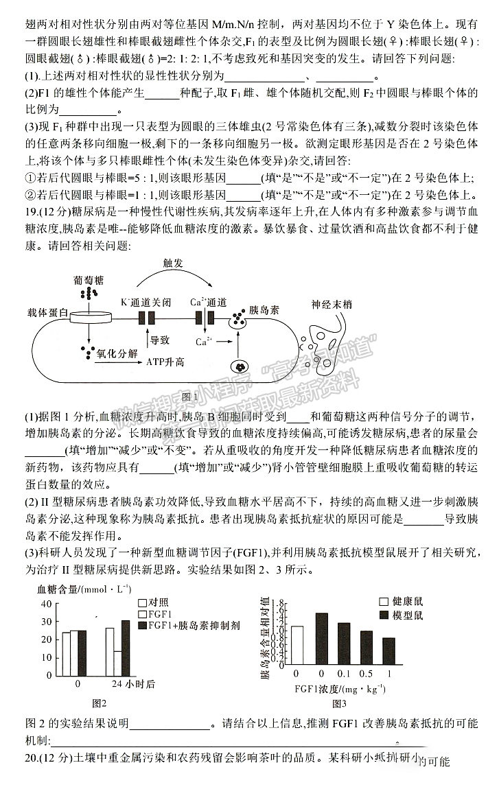 2023屆湖南新高考教學教研聯(lián)盟高三第二次(長郡十八校）聯(lián)考生物試卷及參考答案