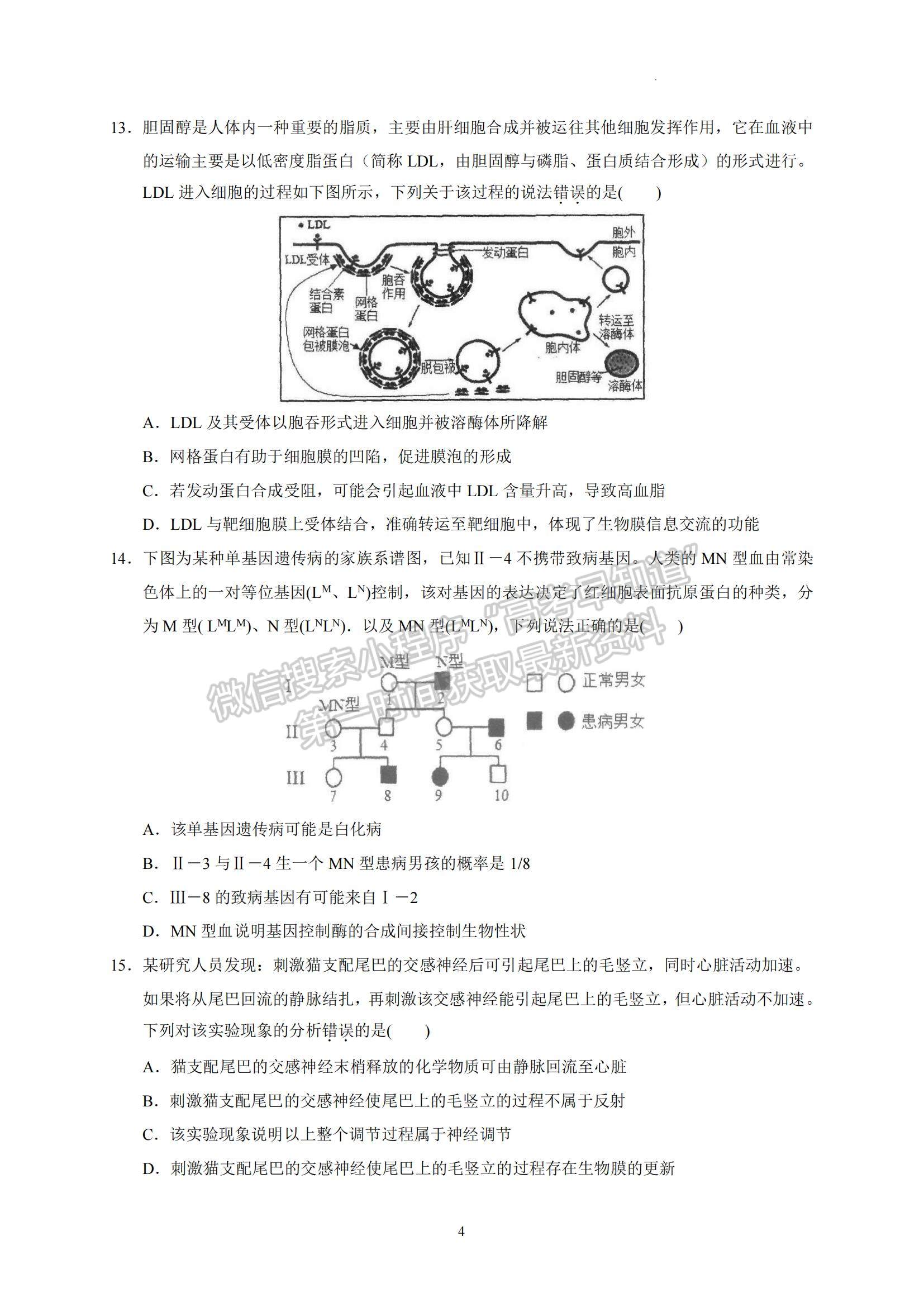 2023廣東省汕頭市金山中學(xué)高三上學(xué)期摸底考試生物試題及參考答案