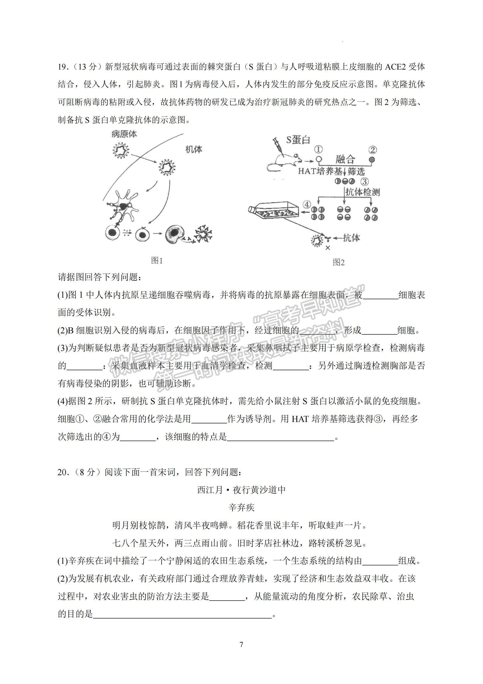 2023廣東省汕頭市金山中學高三上學期摸底考試生物試題及參考答案