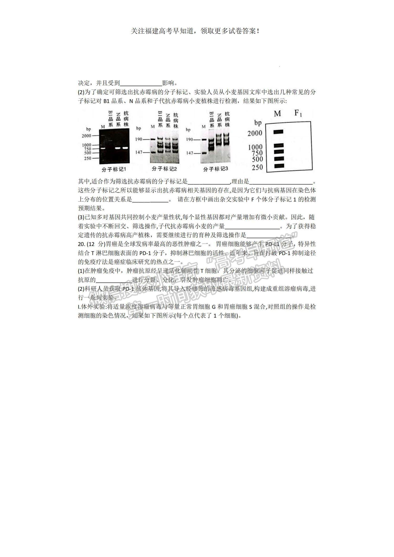 2023福建省龍巖市一級校高三上學(xué)期1月期末聯(lián)考生物試題及參考答案