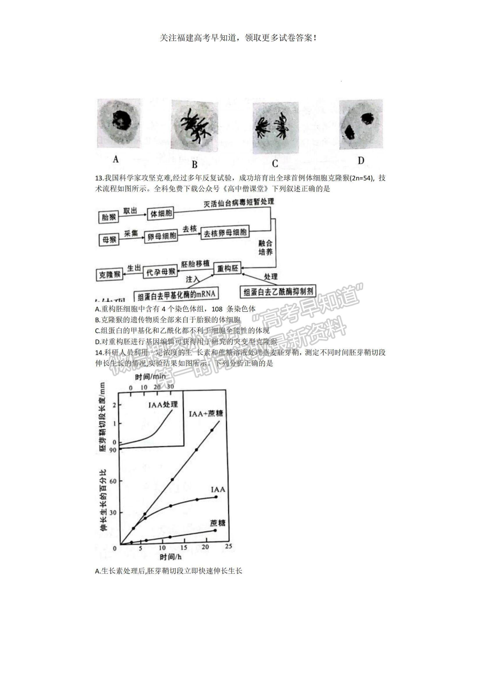 2023福建省龍巖市一級校高三上學期1月期末聯(lián)考生物試題及參考答案