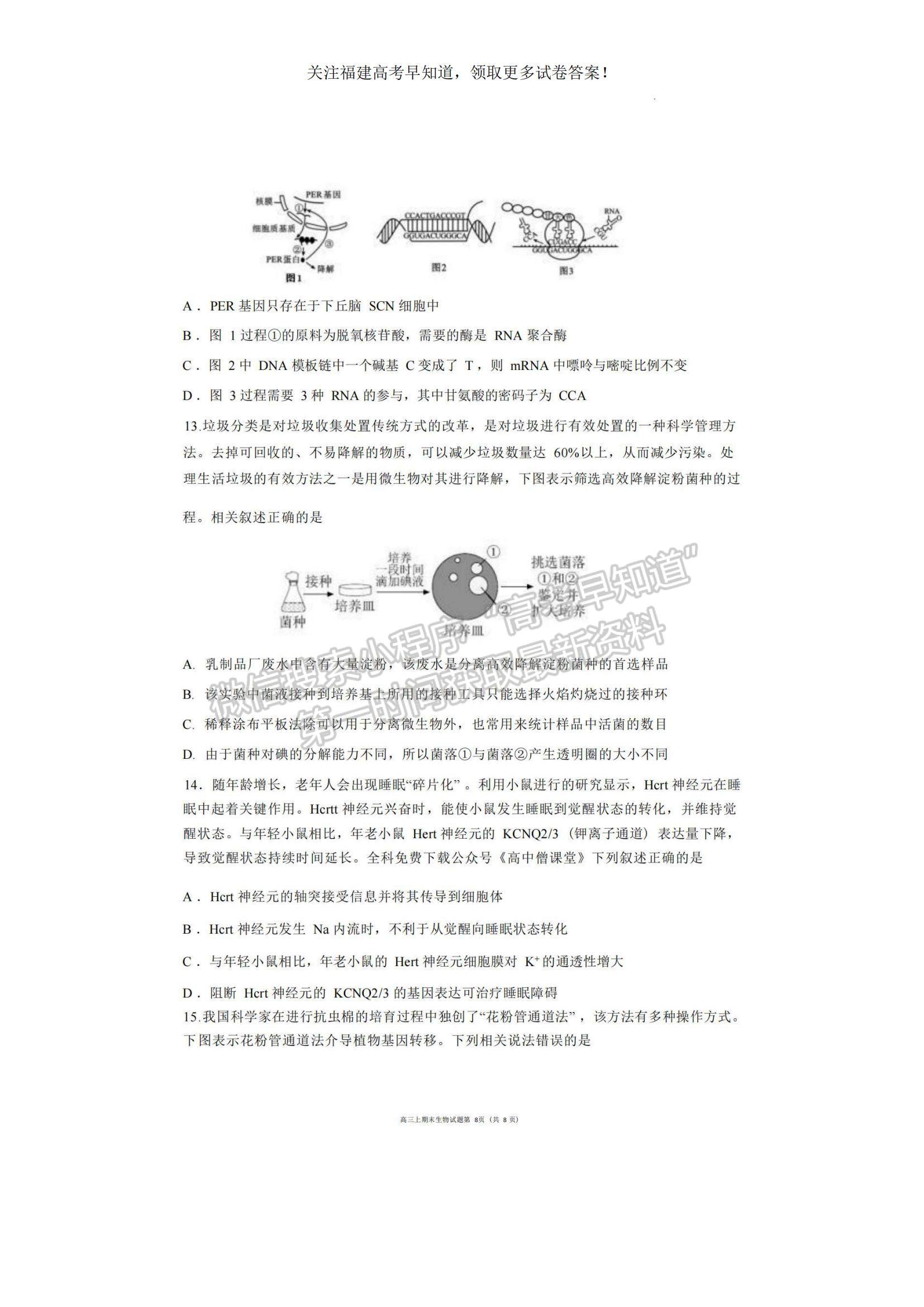 2023福建省廈門外國(guó)語(yǔ)學(xué)校高三上學(xué)期期末檢測(cè)生物試題及參考答案